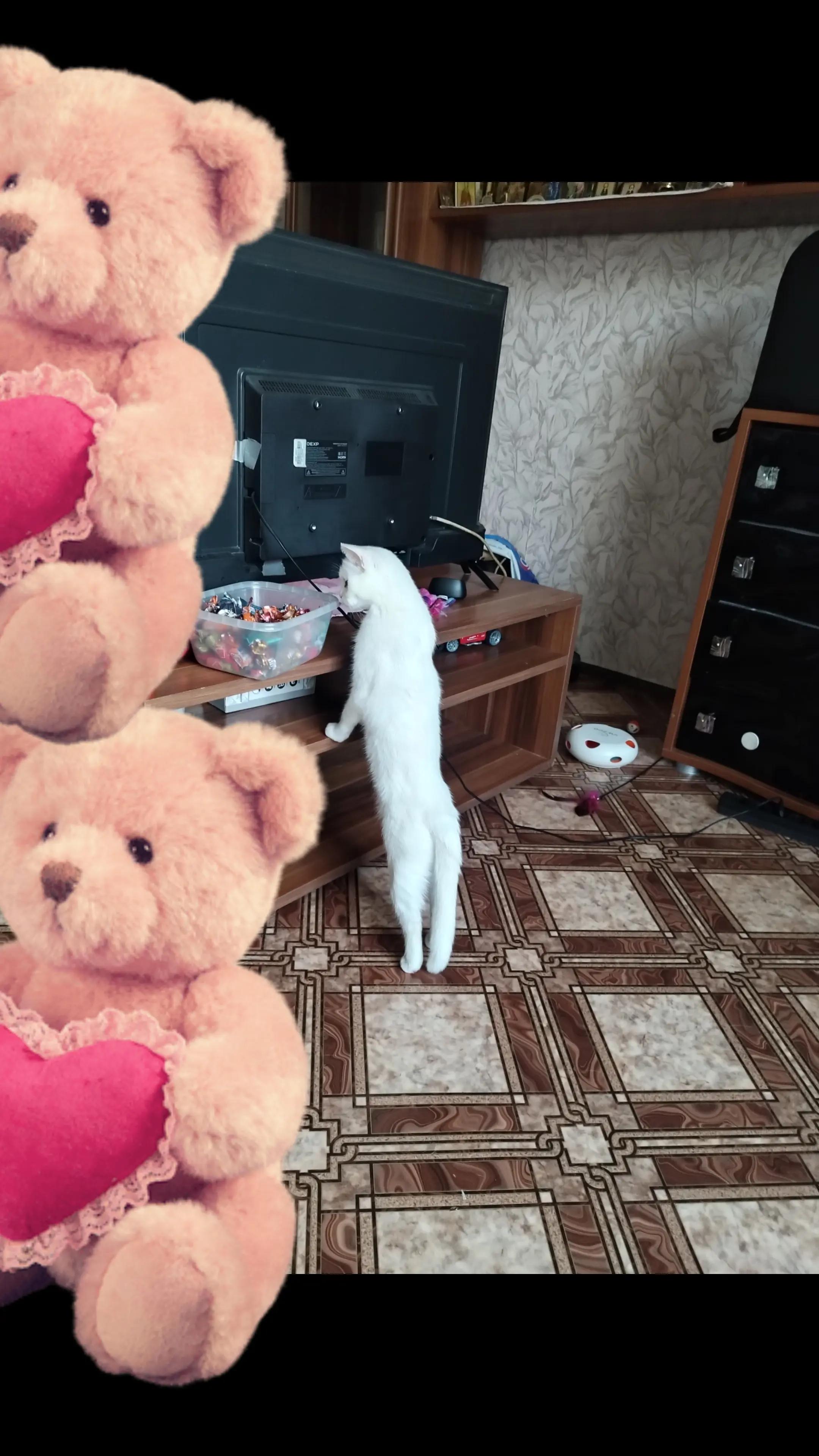 @Z КУZБАСС РУЛИТ Z