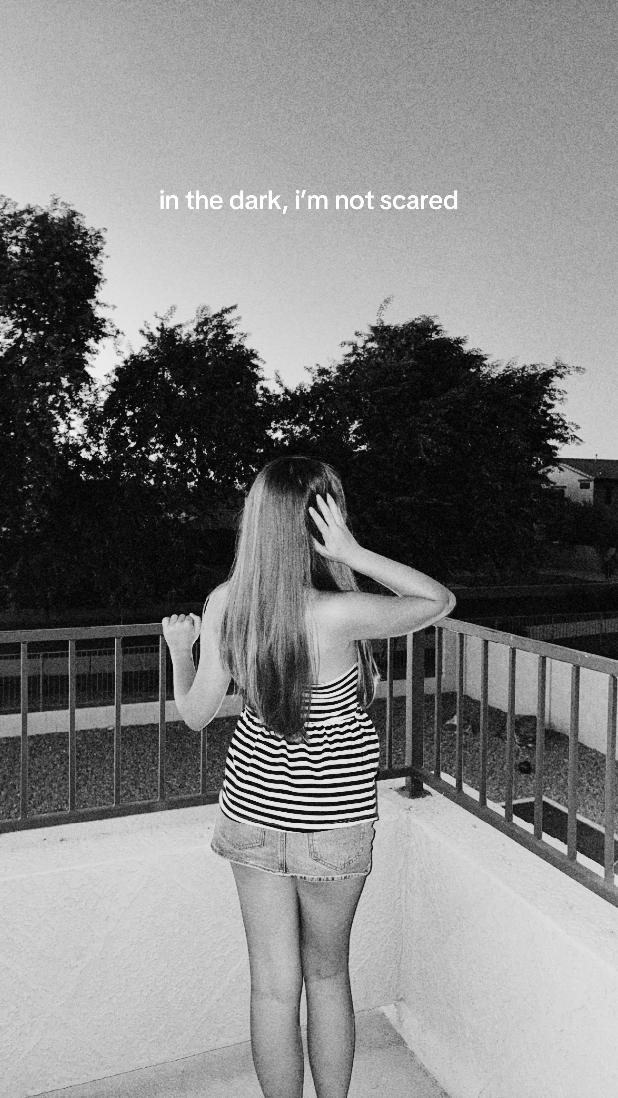 @Lilly Renee 💫