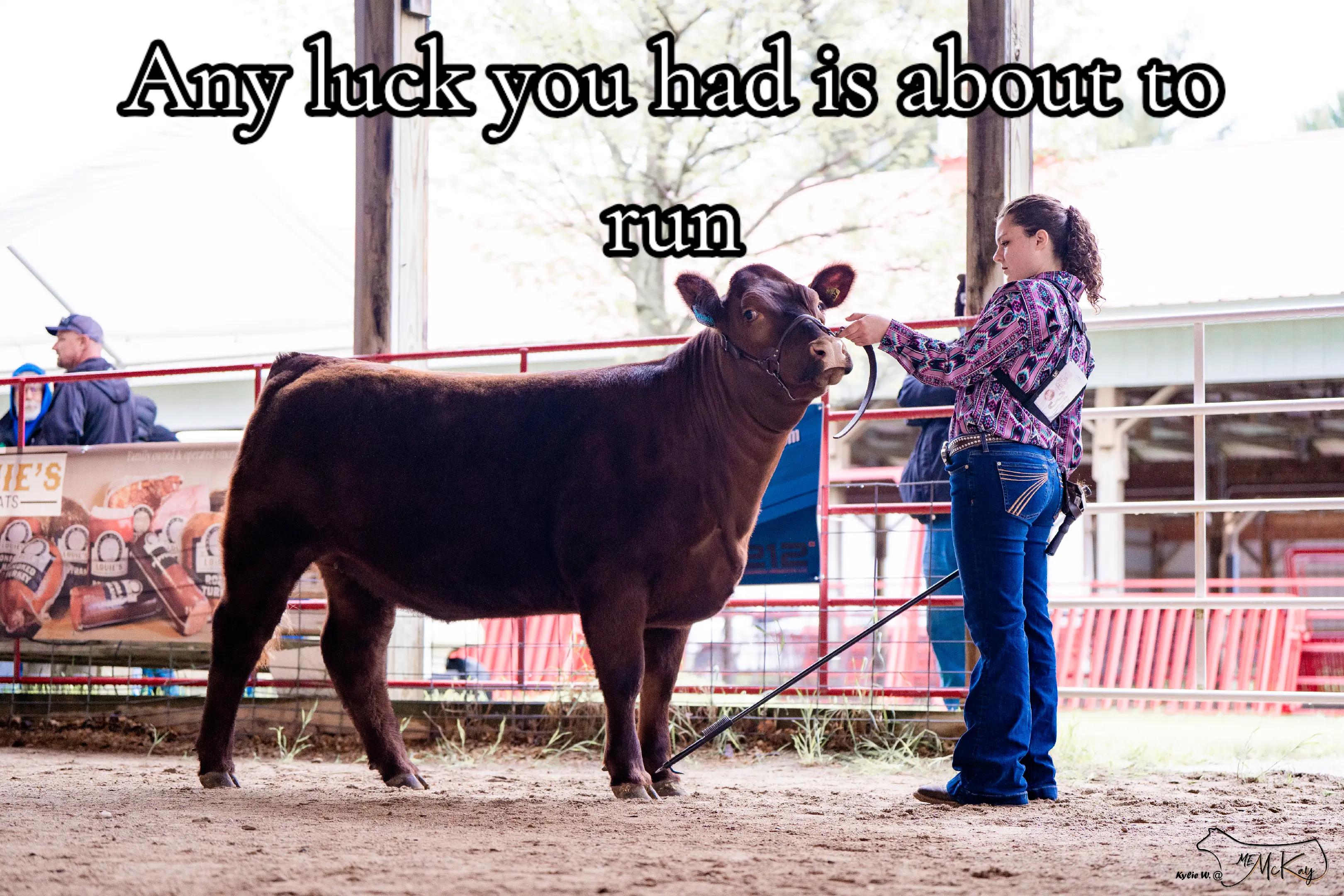 @🤍🌻🐄Alaina🐄🌻🤍