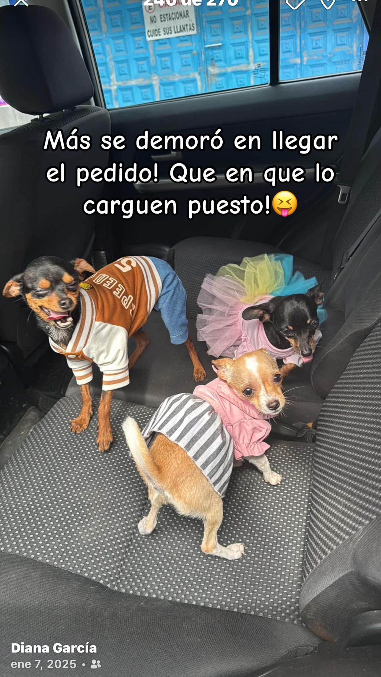 @Elizabeth Garzam39