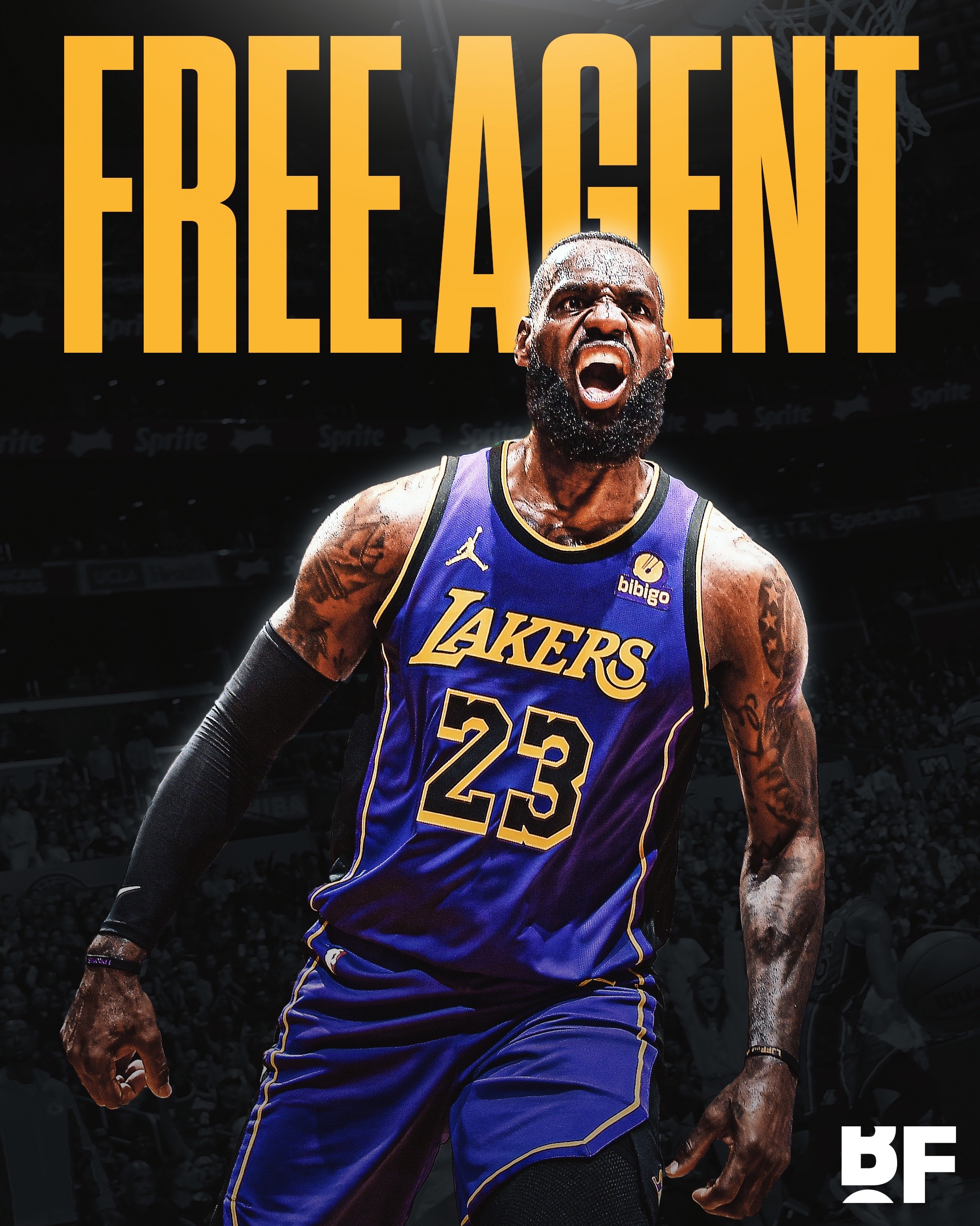 @Suns fan 101