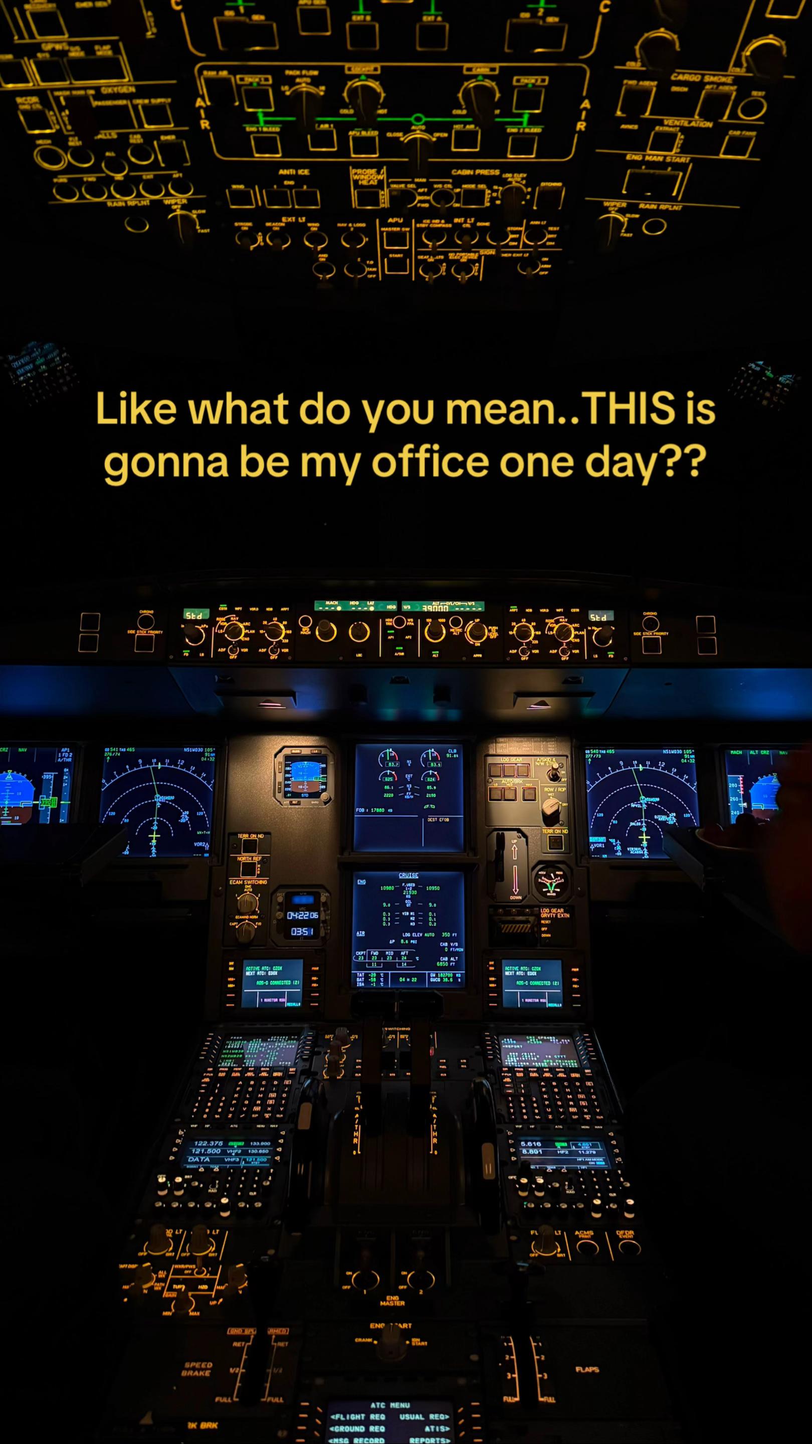 @Vladi | Student Pilot