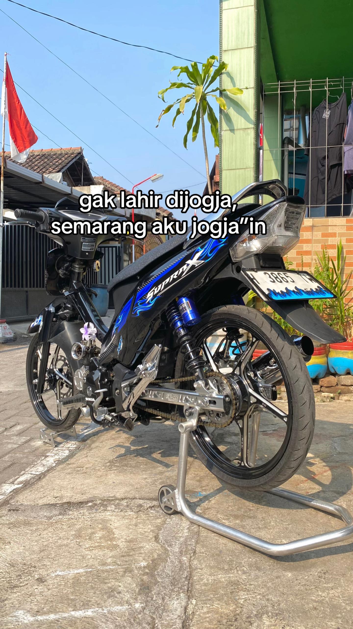 @Yogi Tri