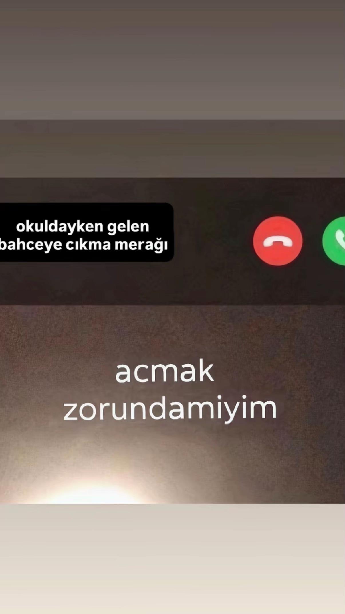 @🪽•