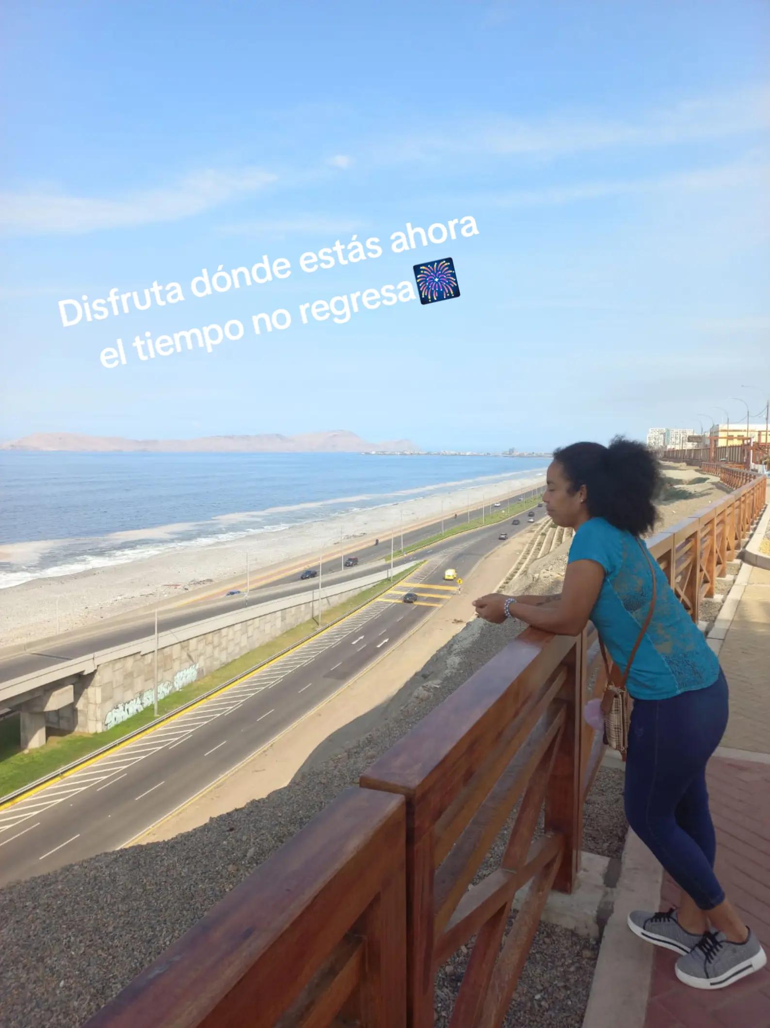 @bichota