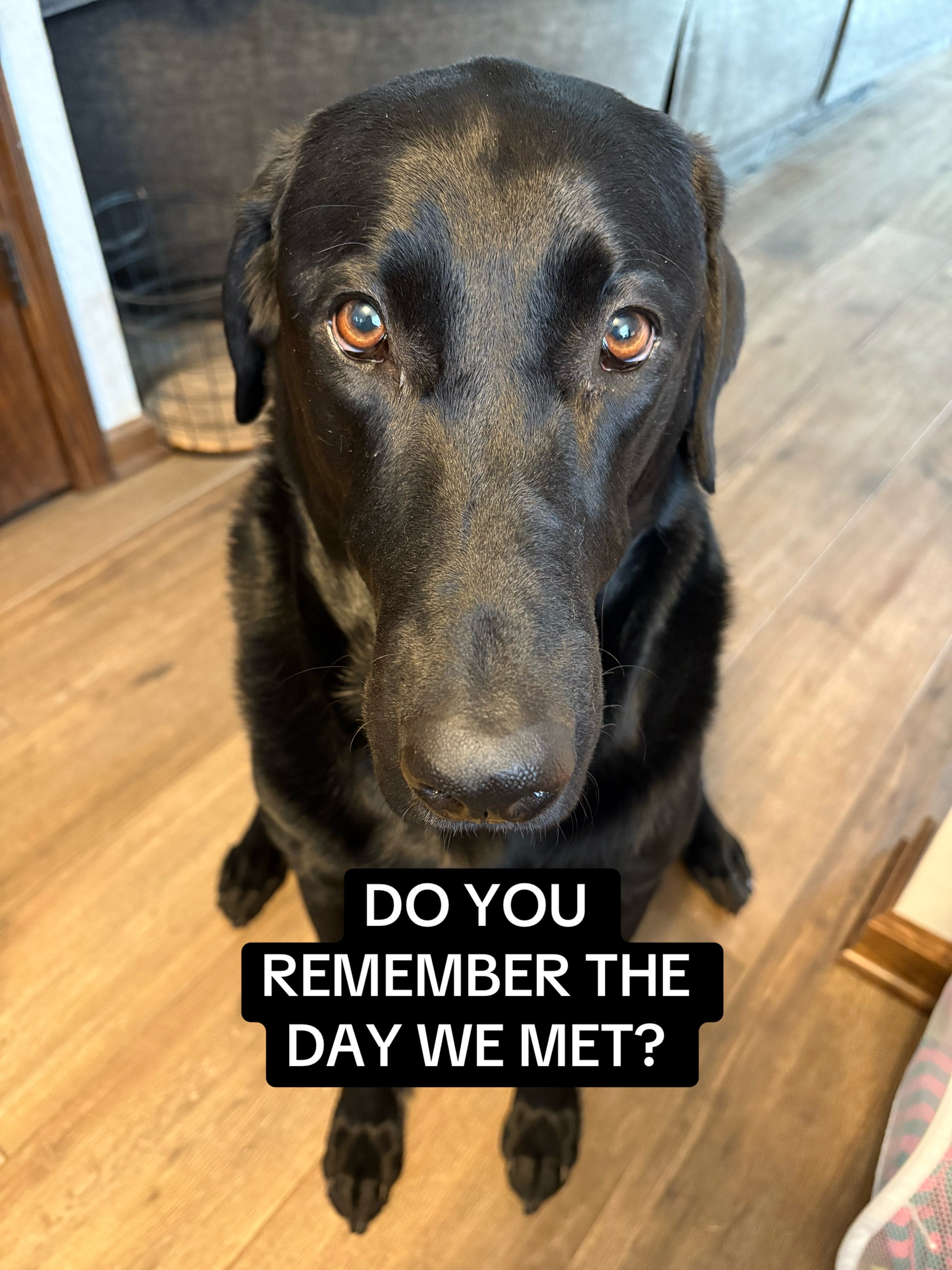 @Sevy and Gus 🐾