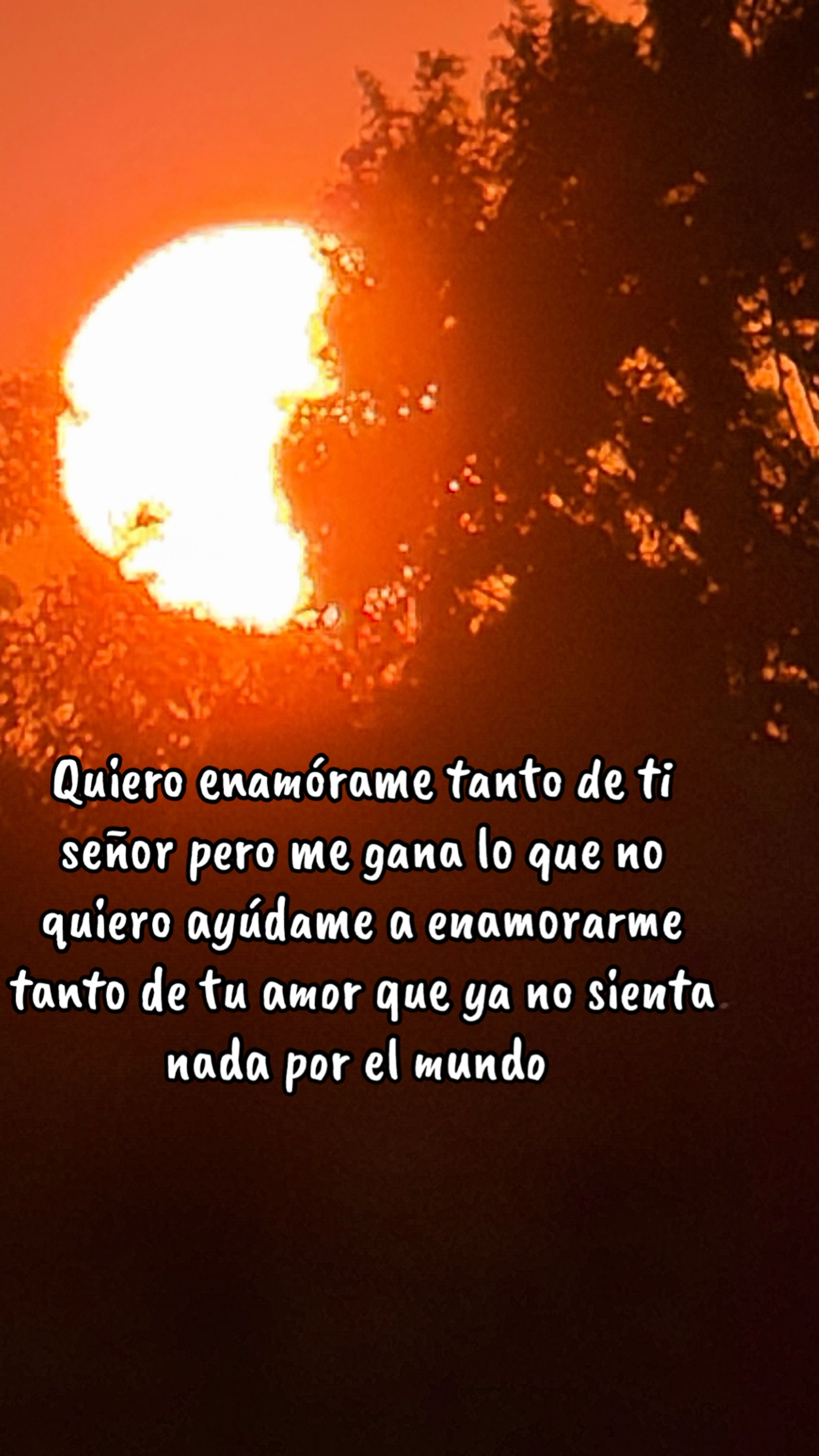 @Antony Saavedra