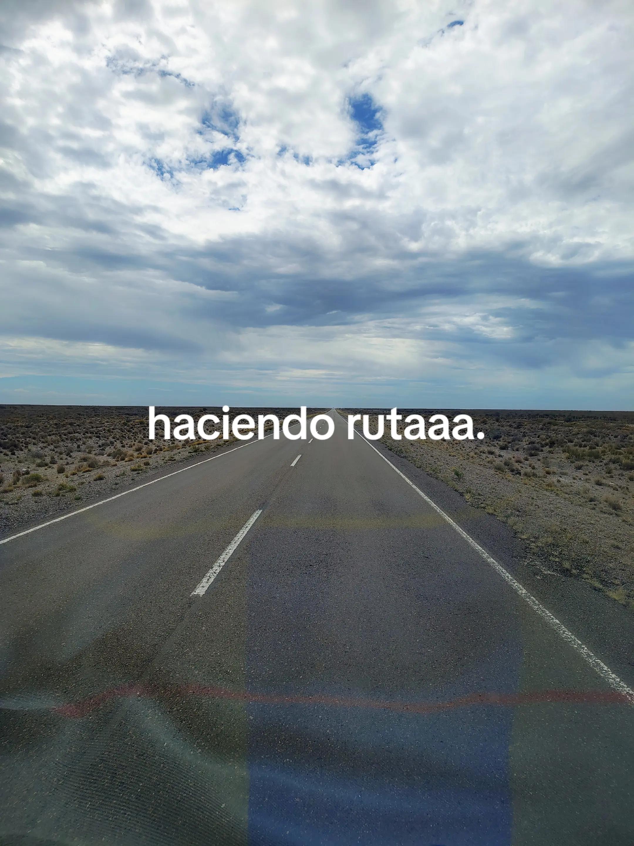 @miguelvivas739