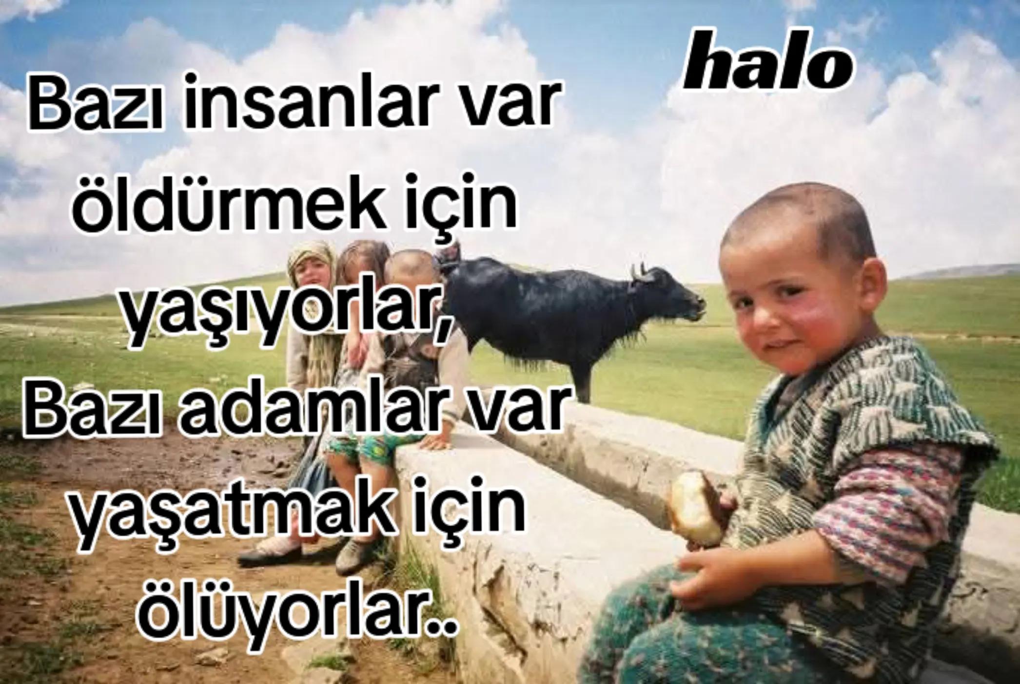@Halo