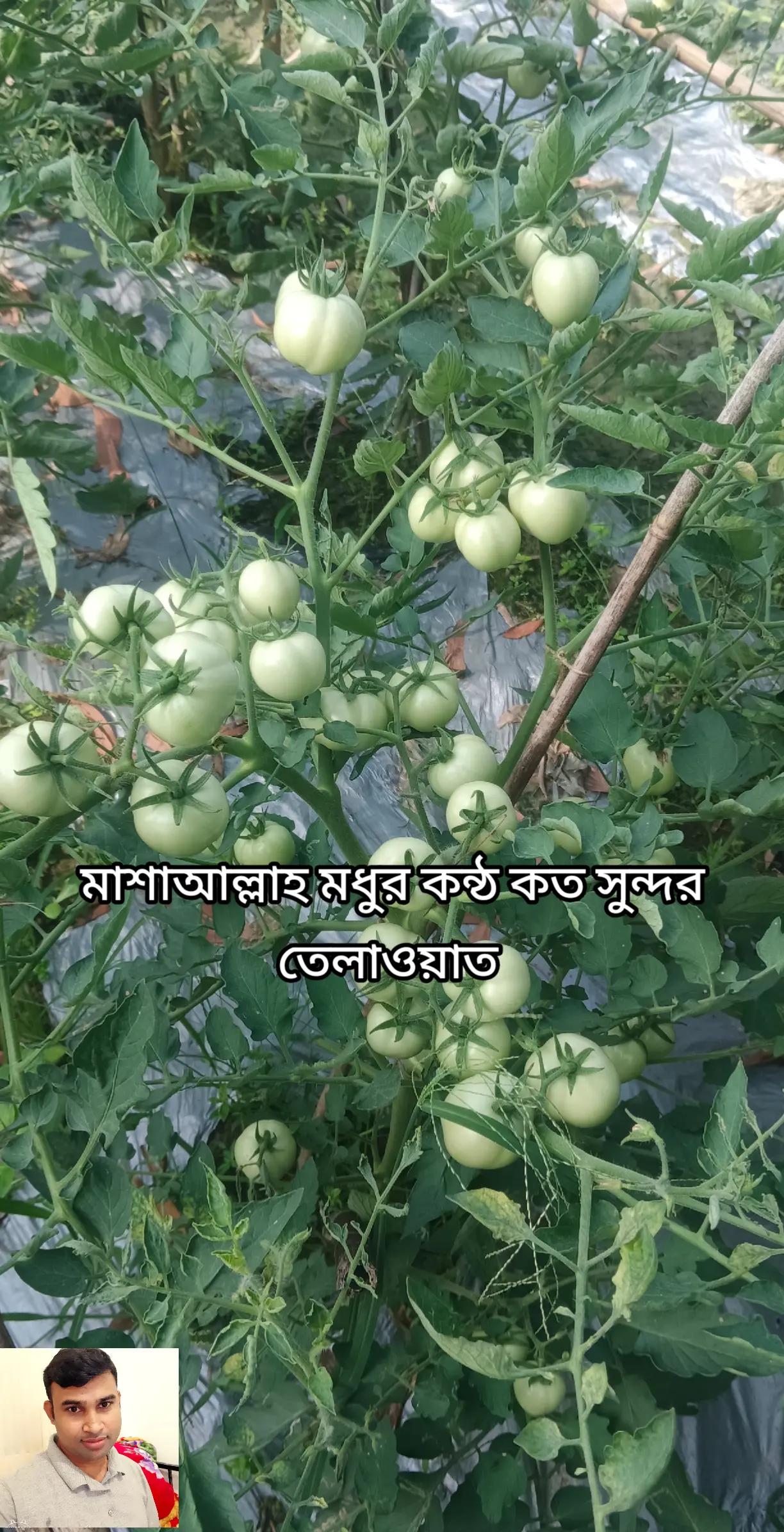 @🇵🇸🇧🇩كمال&hearts;️Kamal Ali ⛎