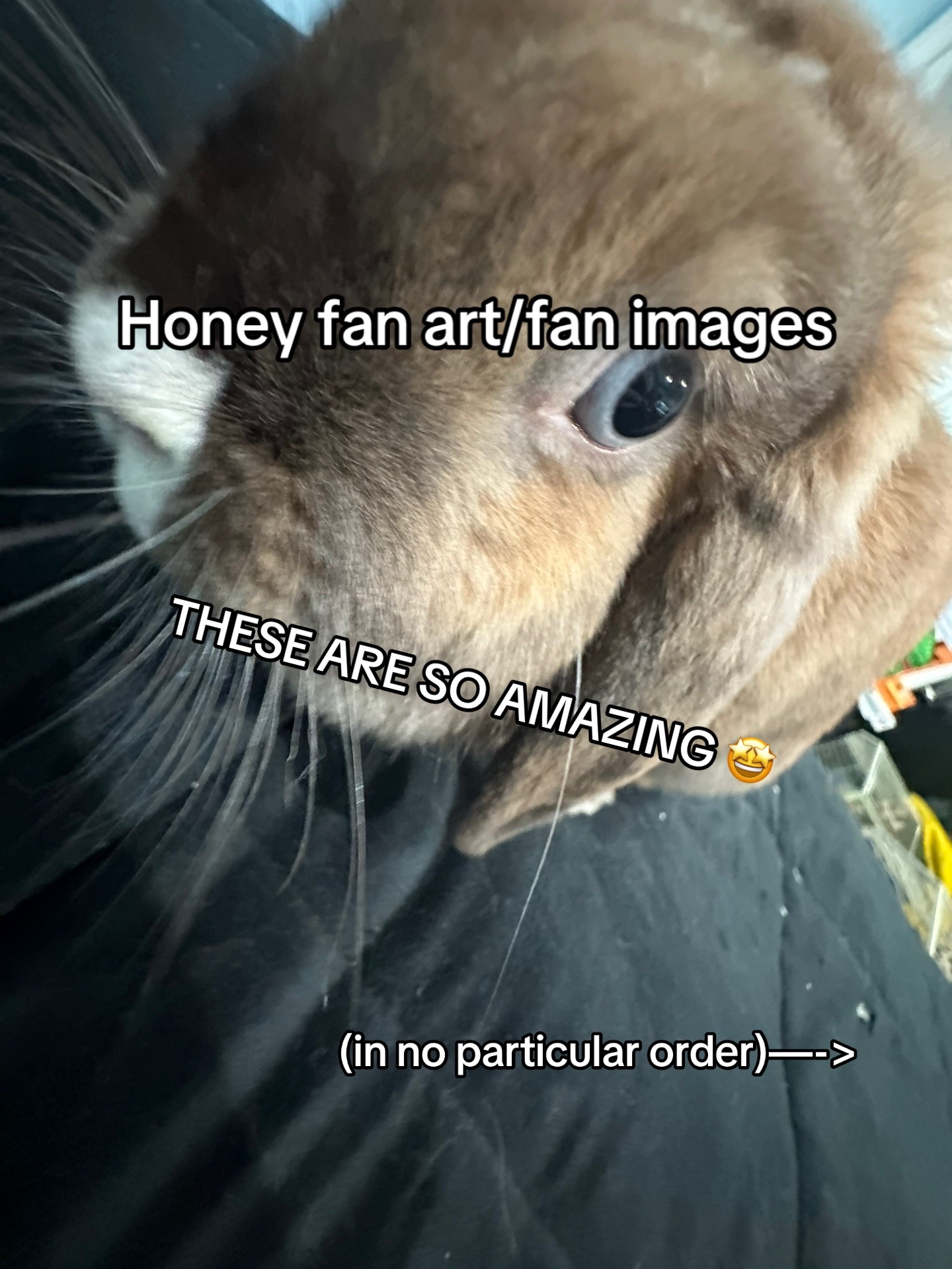 @honeythebunny24