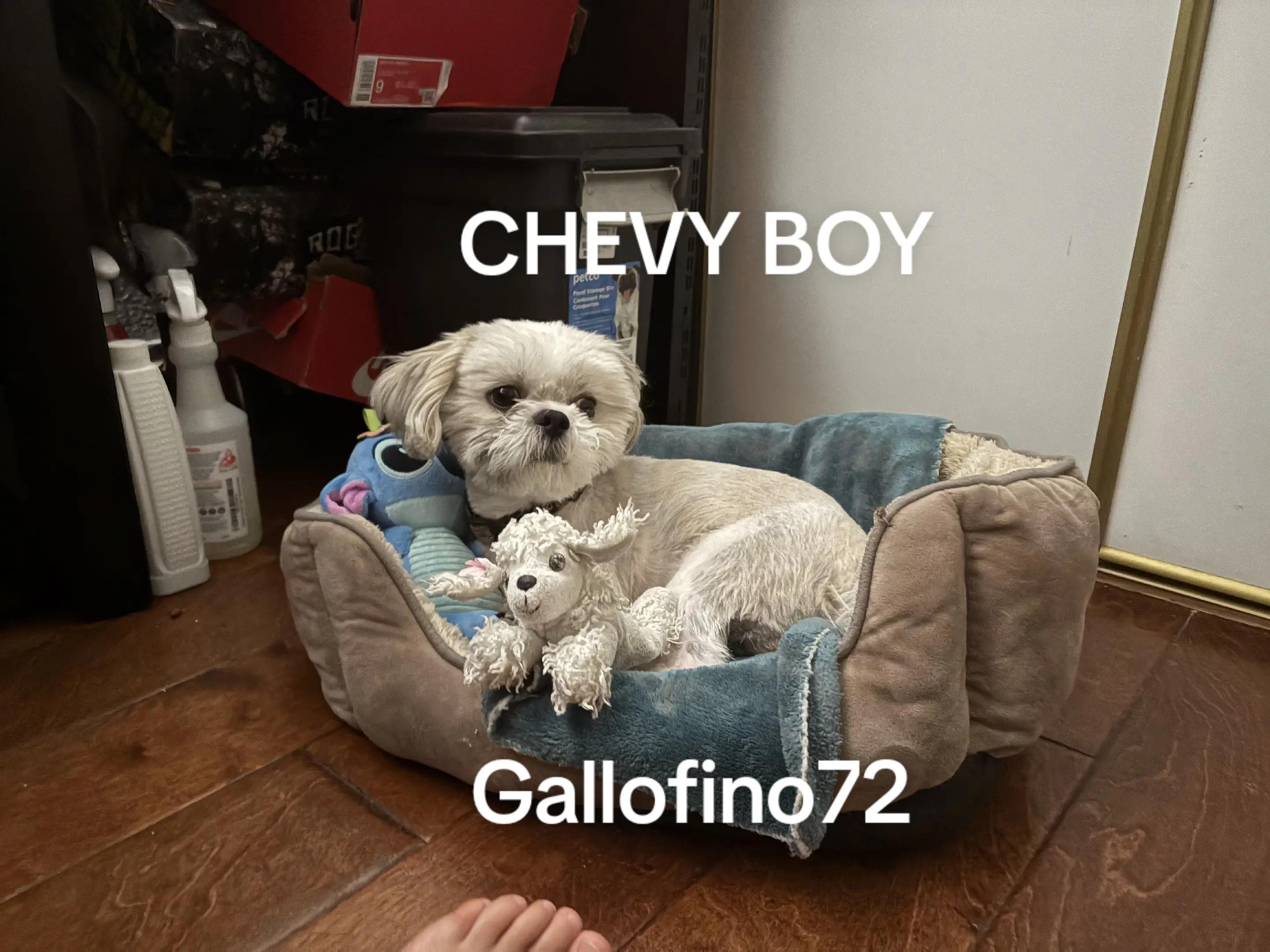 @ElGalloFino