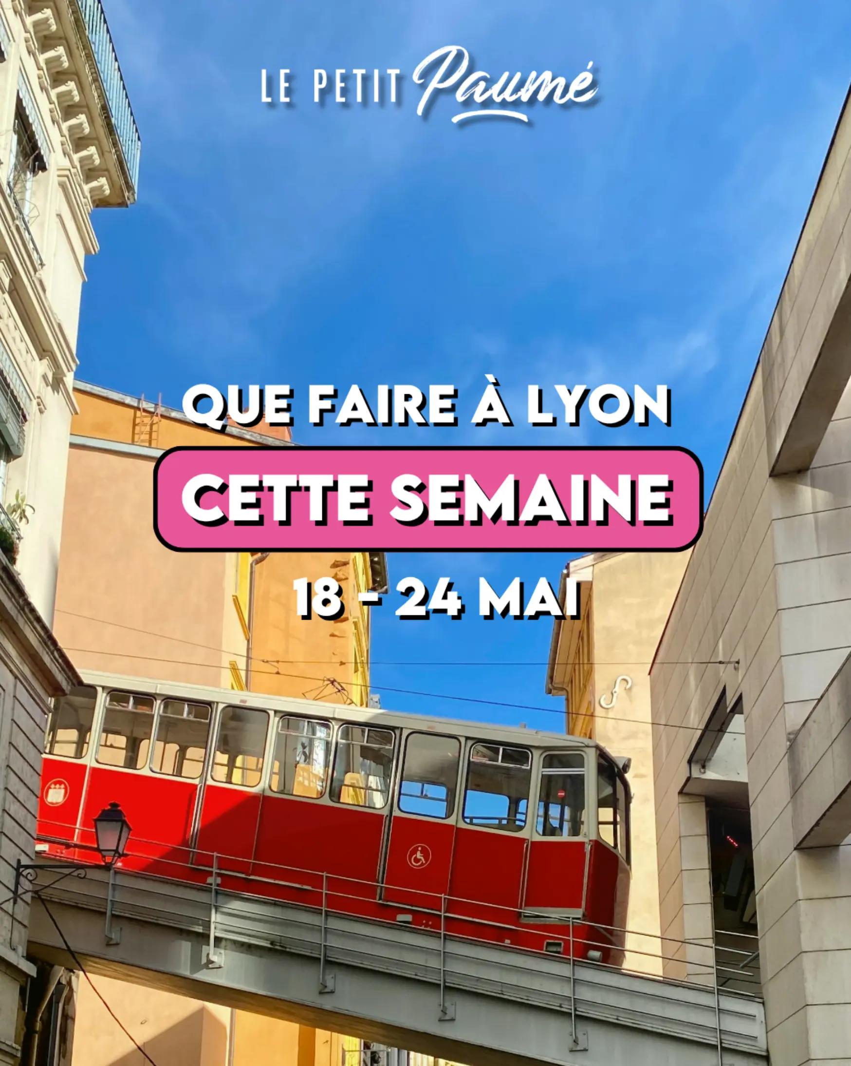 @Le Petit Paumé
