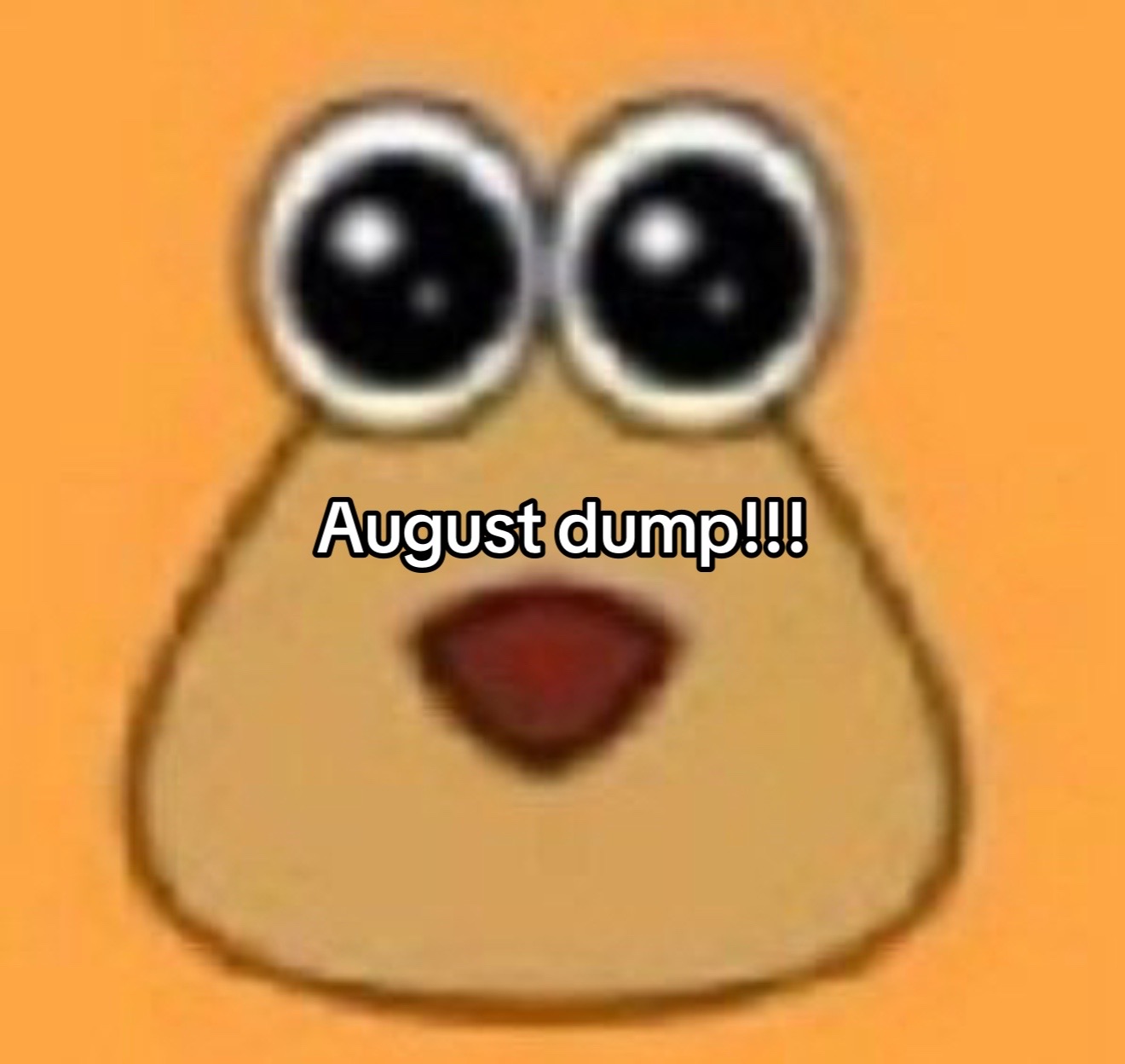 @Saf