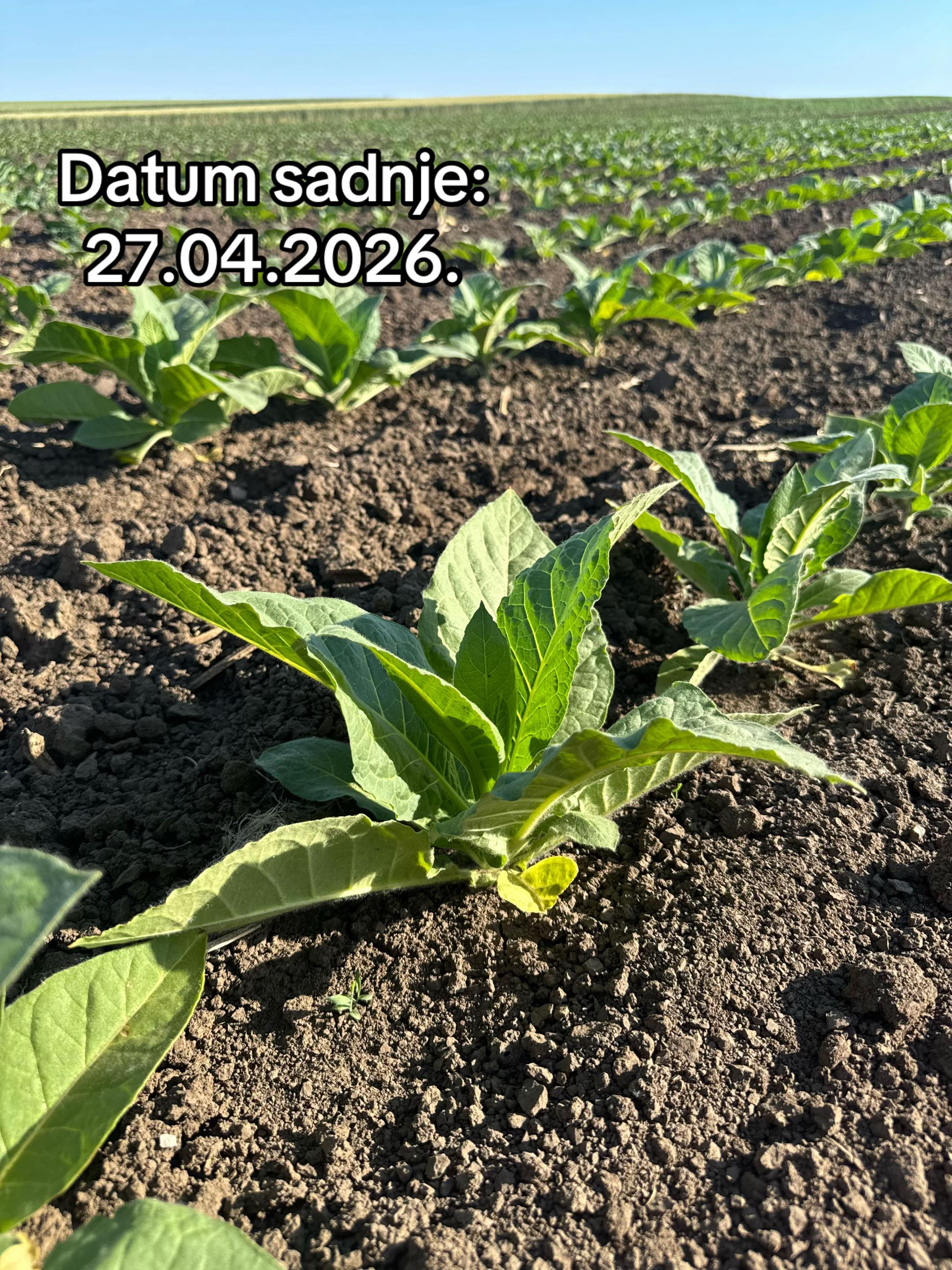 @Agriculture_vojvodina