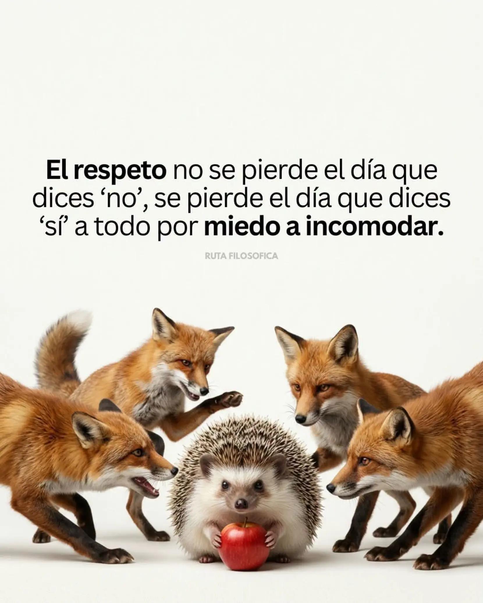 @Lisandr@ Vill@💋🪽
