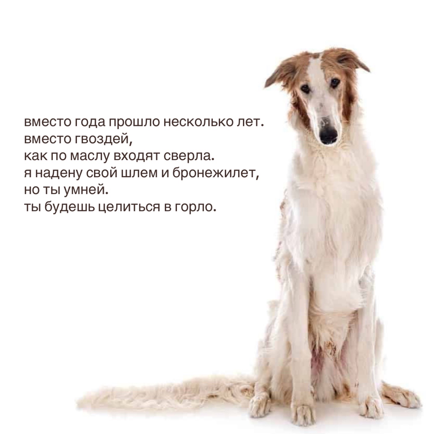 @𝗉𝖺𝗋𝖺𝗇𝗈𝗂𝖽 𝗌𝗁𝖺𝗆𝖾