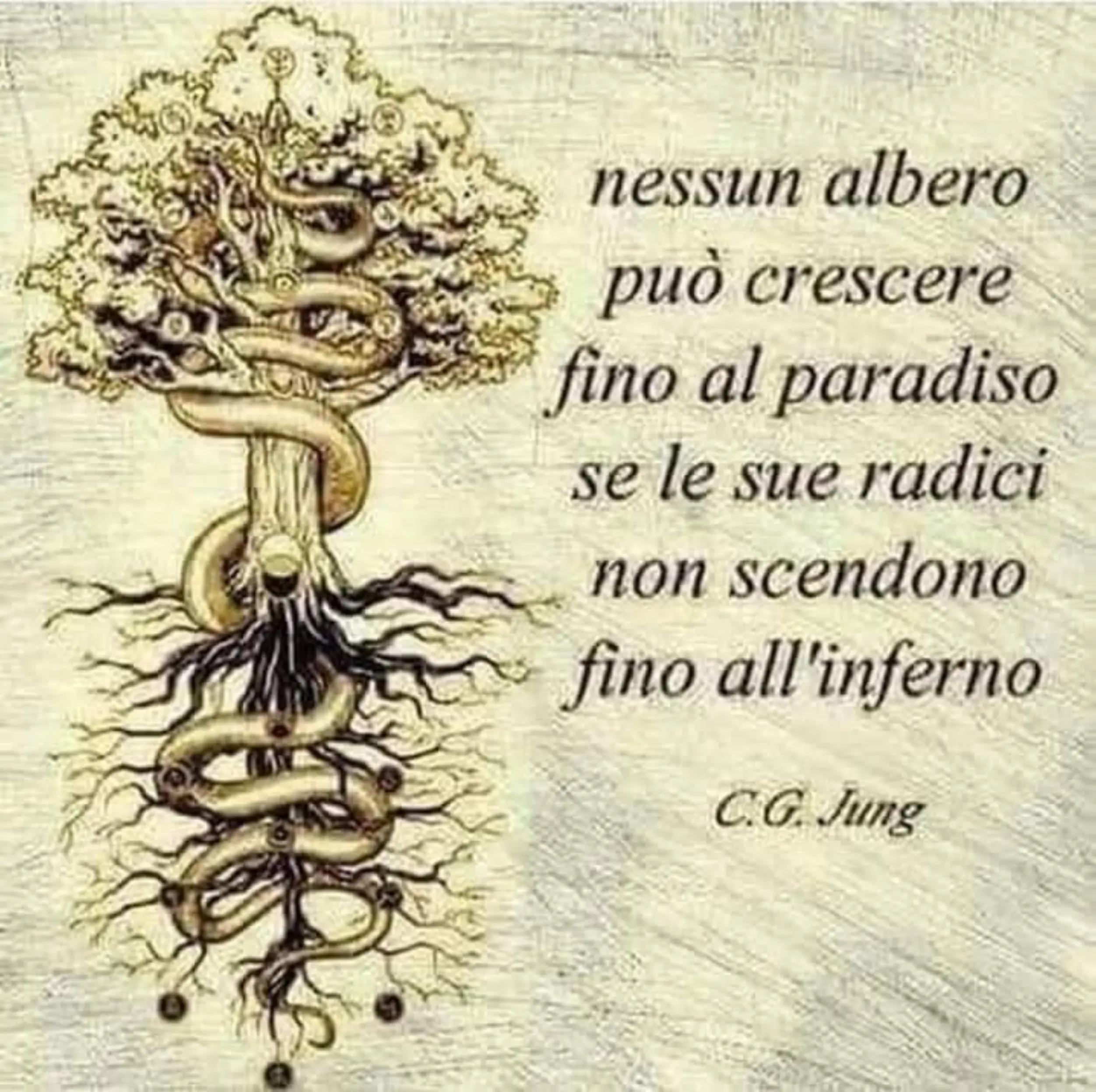 @cuccaro federica