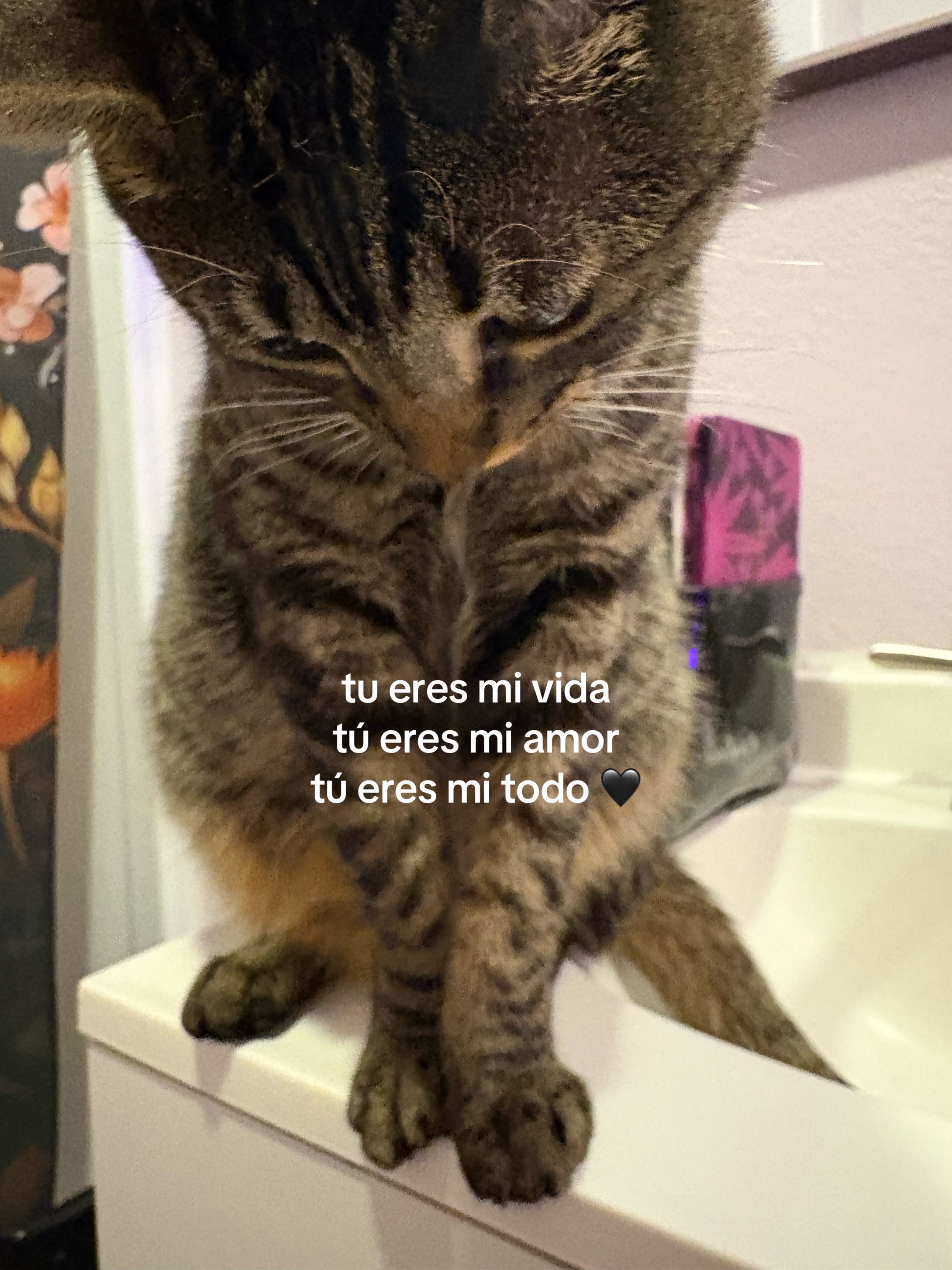 @jezebel𓂀