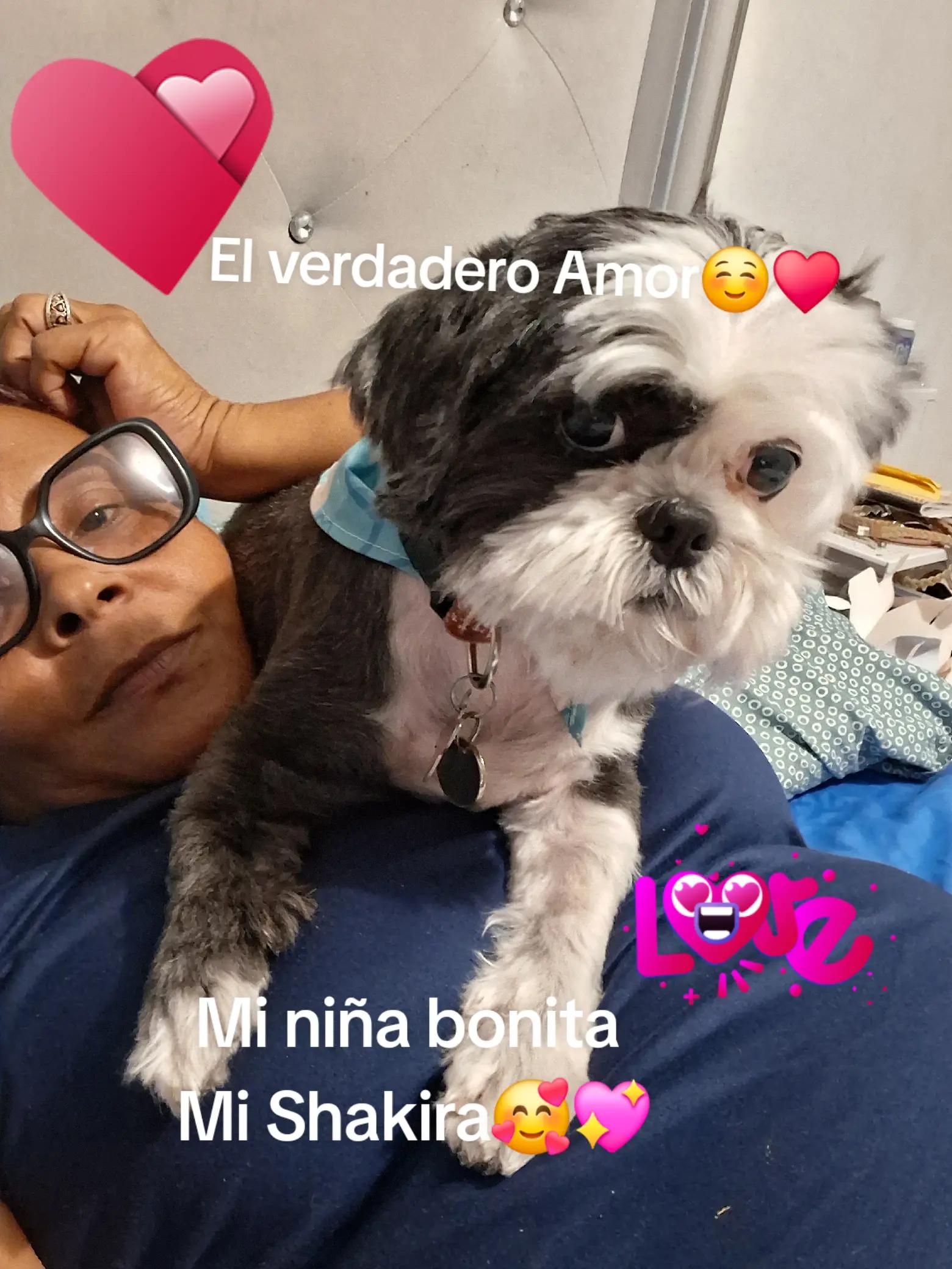 @🔥CUQUITA🔥👑🇵🇷💯💋💋