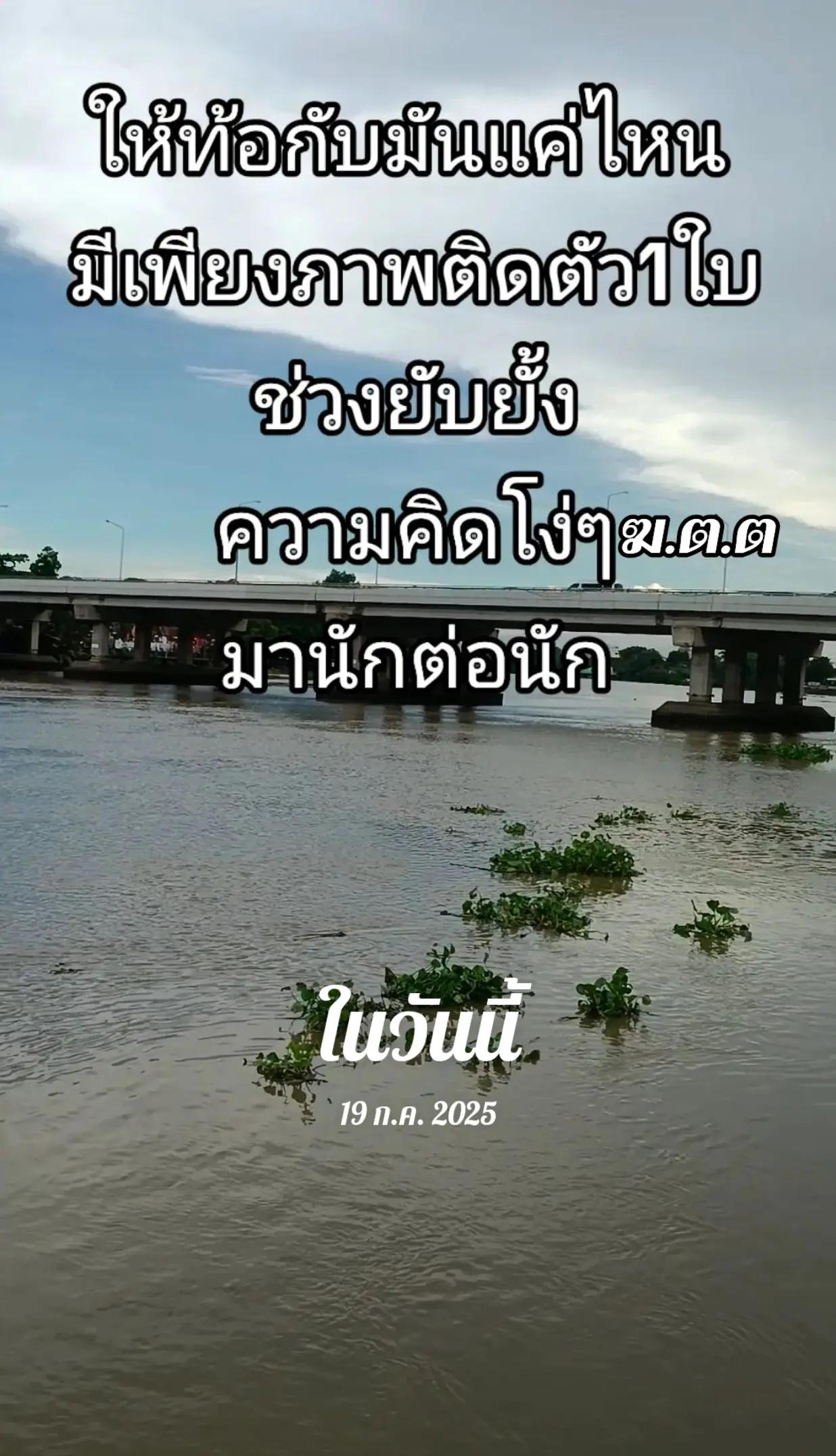 @จังโก้เมฆสีเทา ซึมเศร้าตัวร้าย