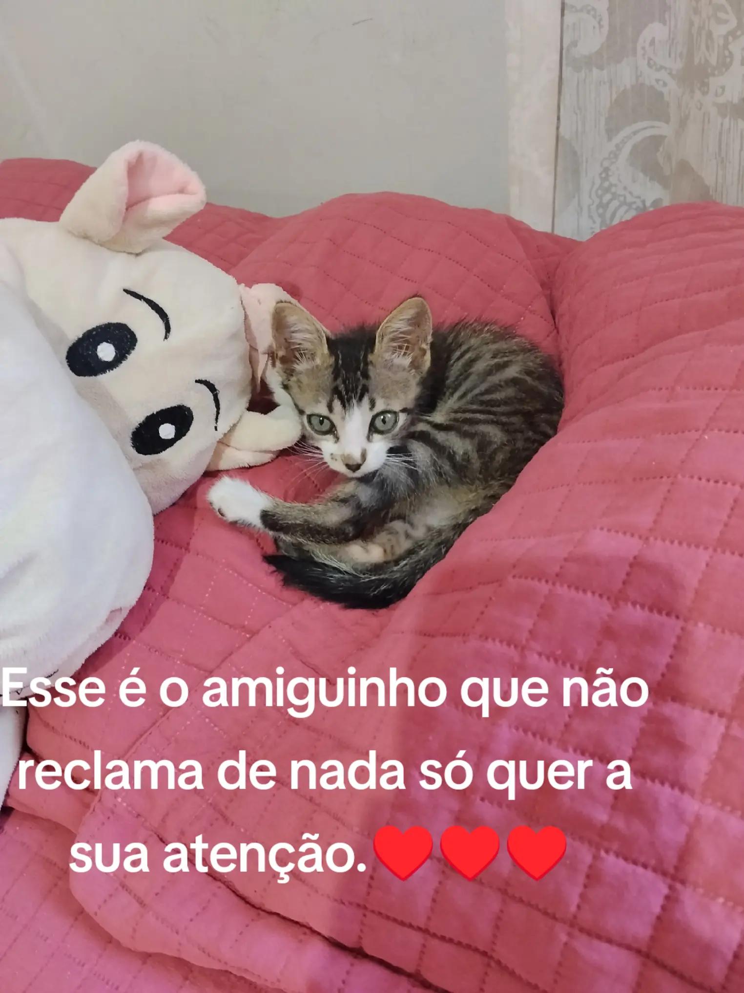 @Maria Querino