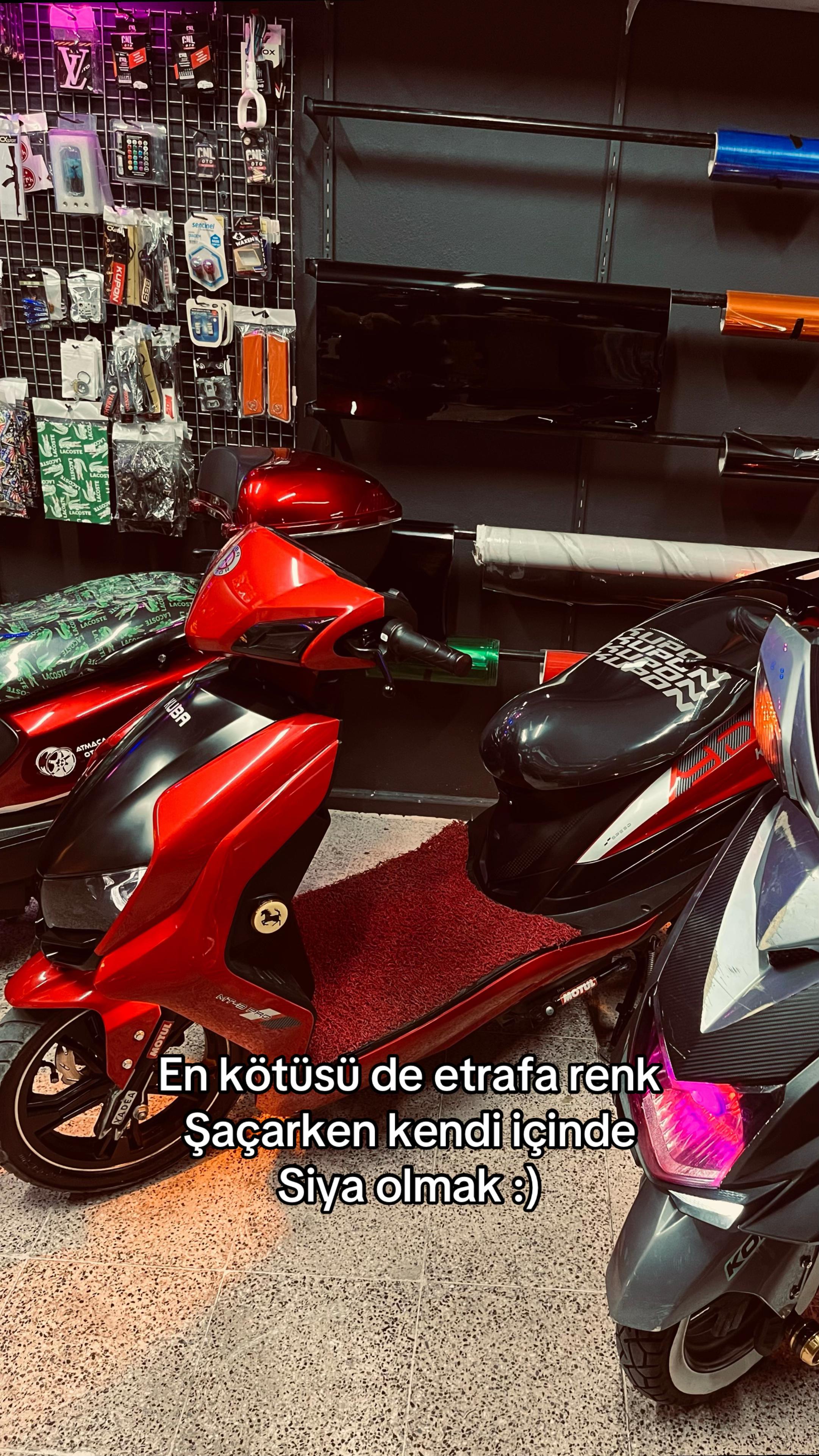 @ANT MOTOR