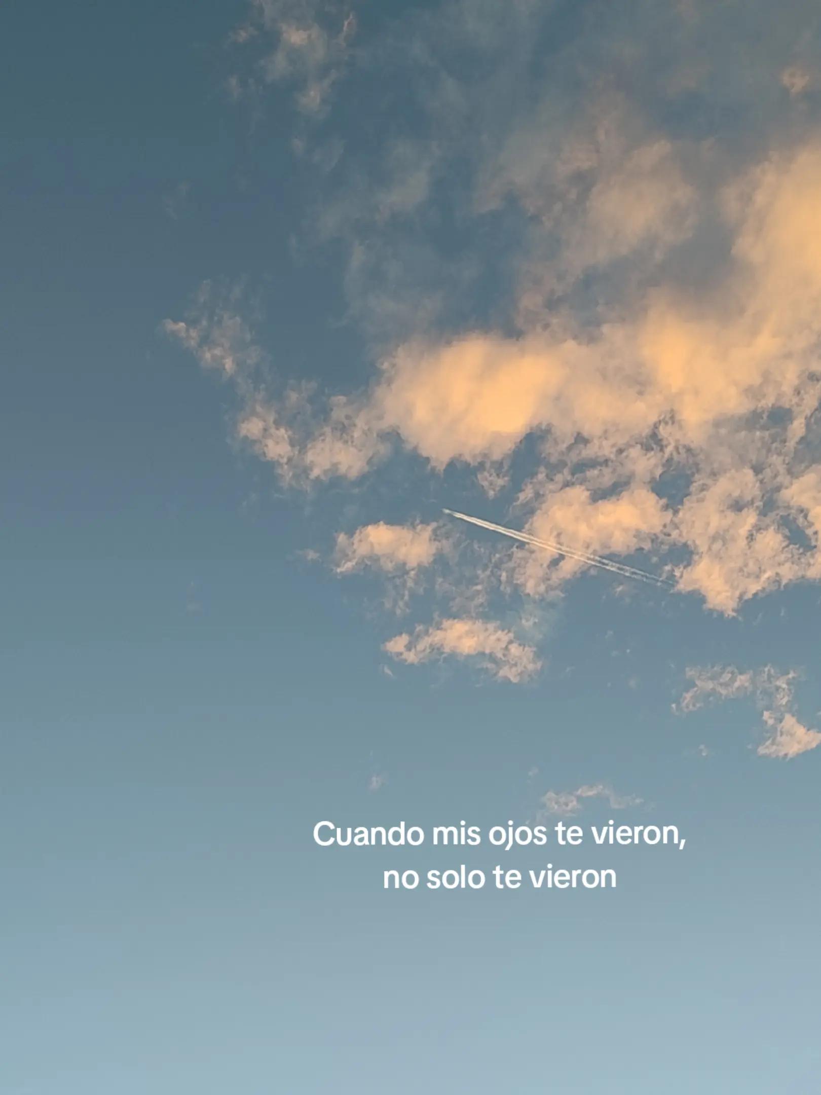 @⊹ RBD ⊹