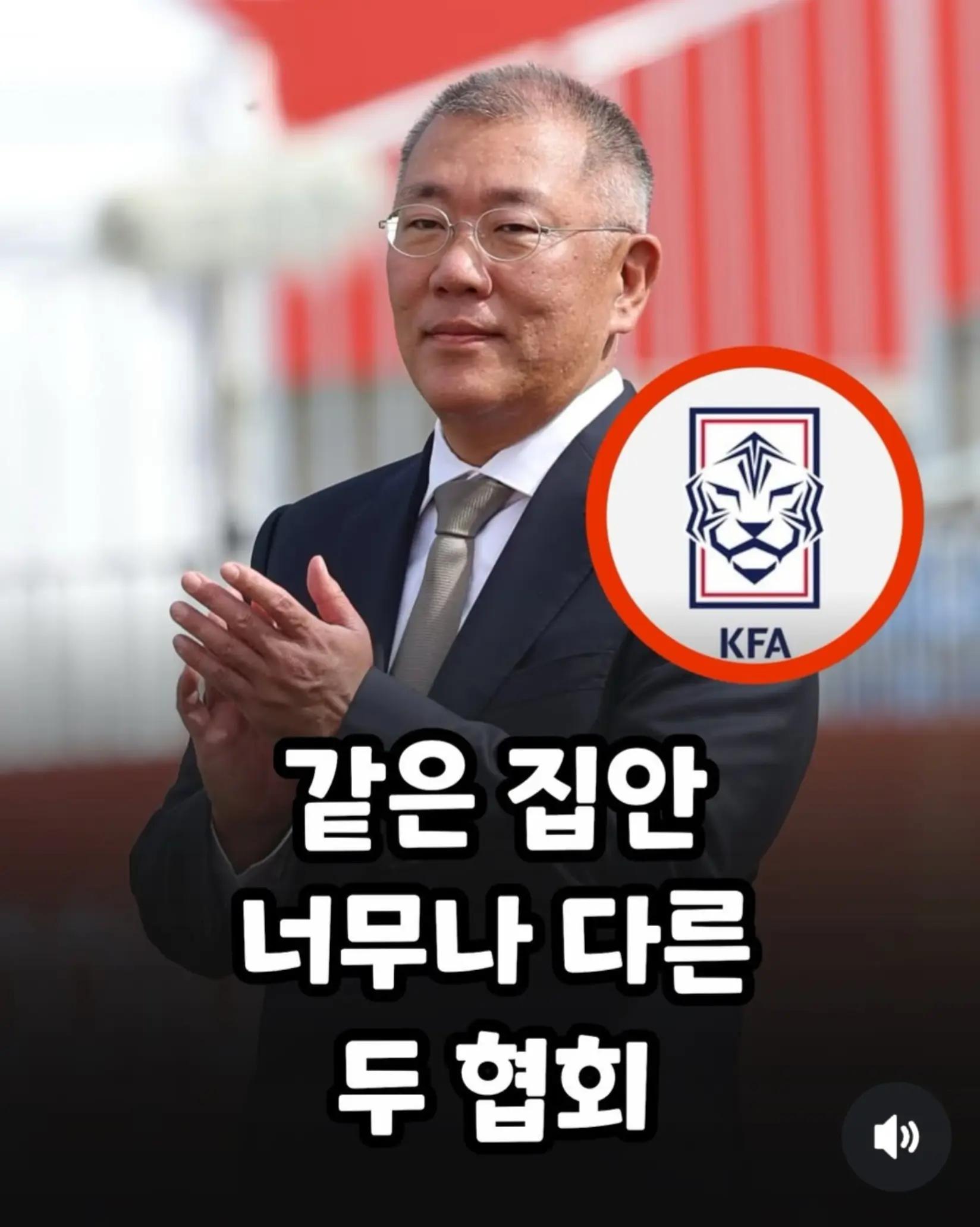 @🌺시라소니[본]🌺