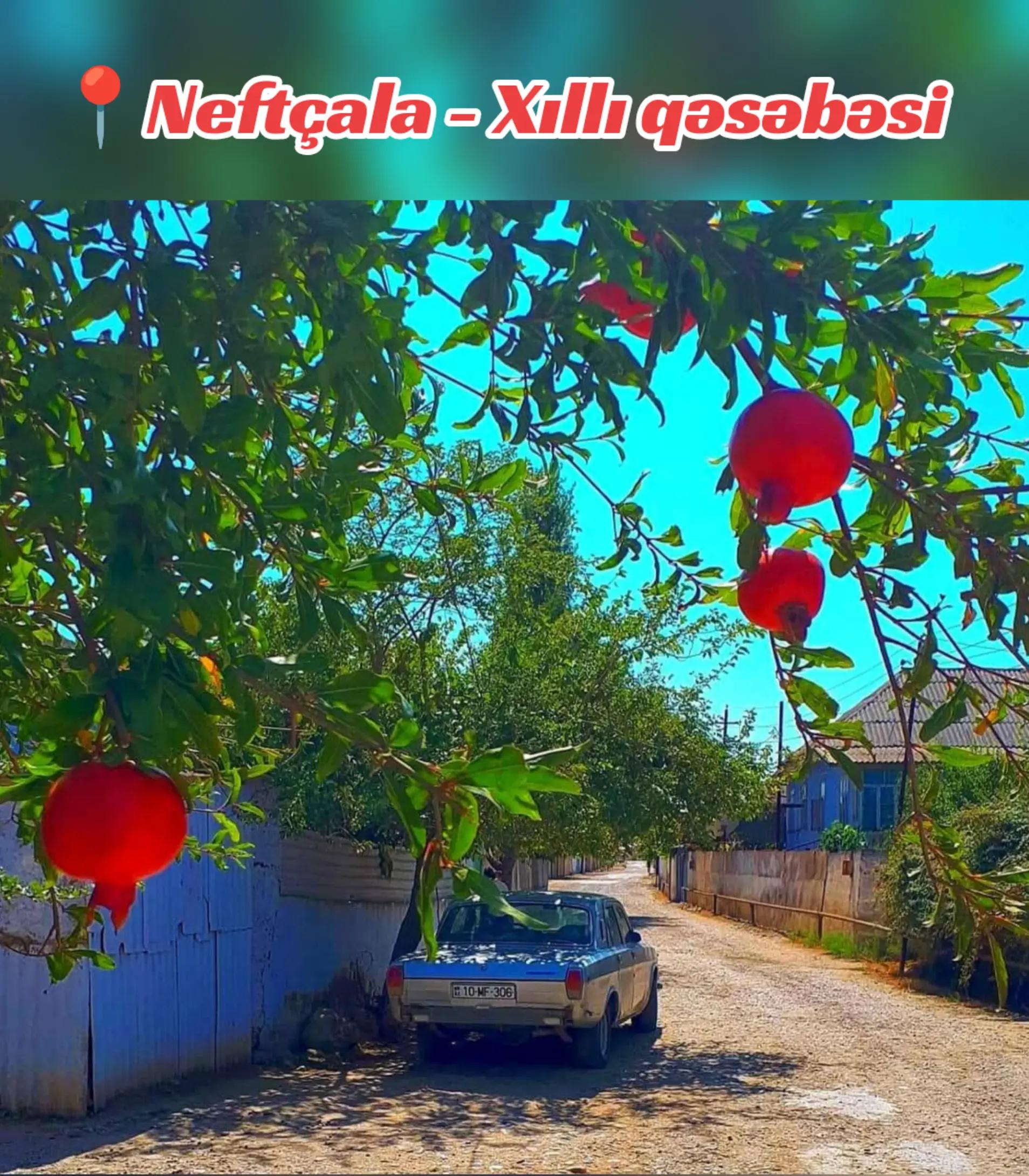 @Bizim_Neft&ccedil;ala