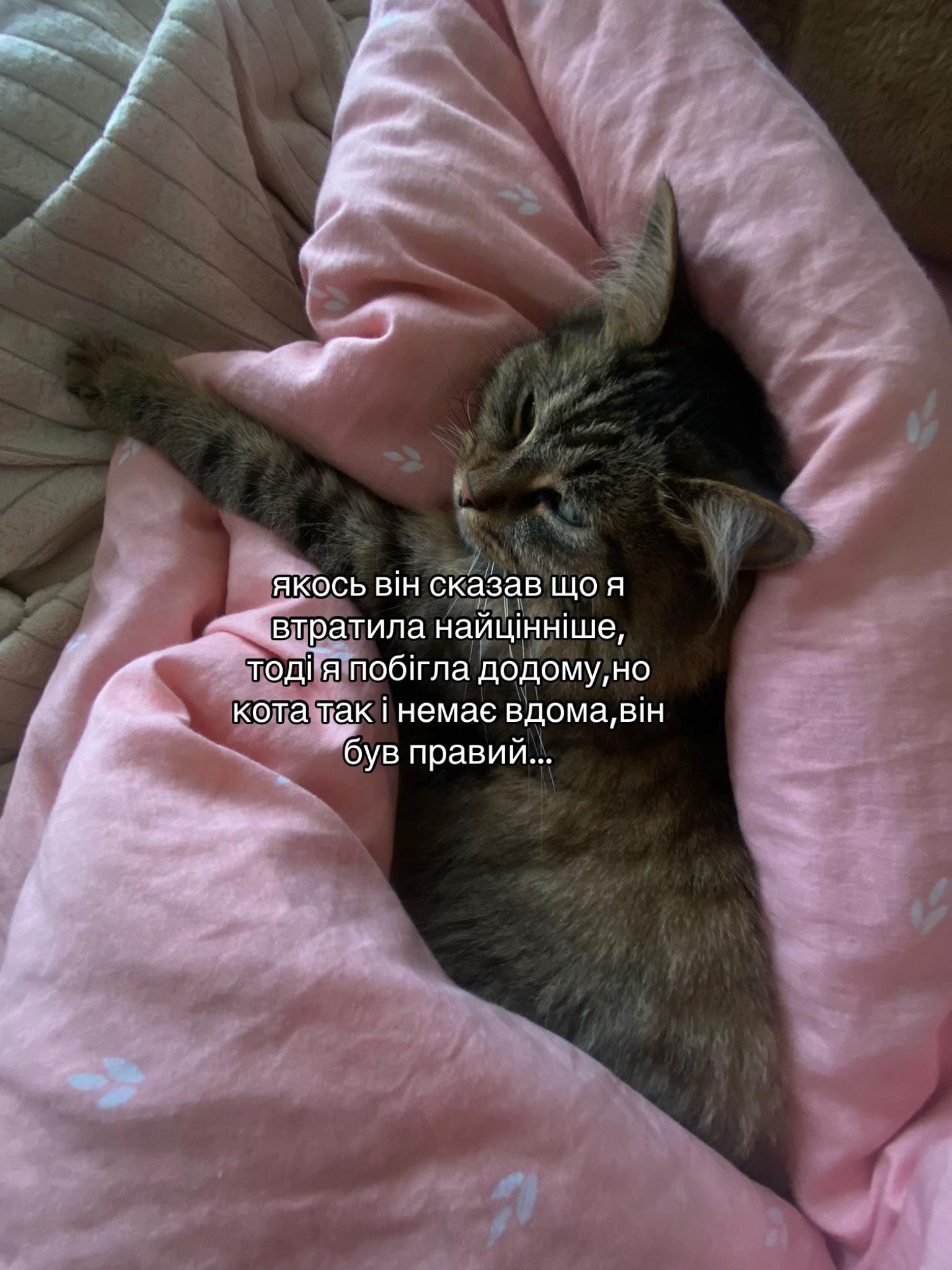 @mayaskuna