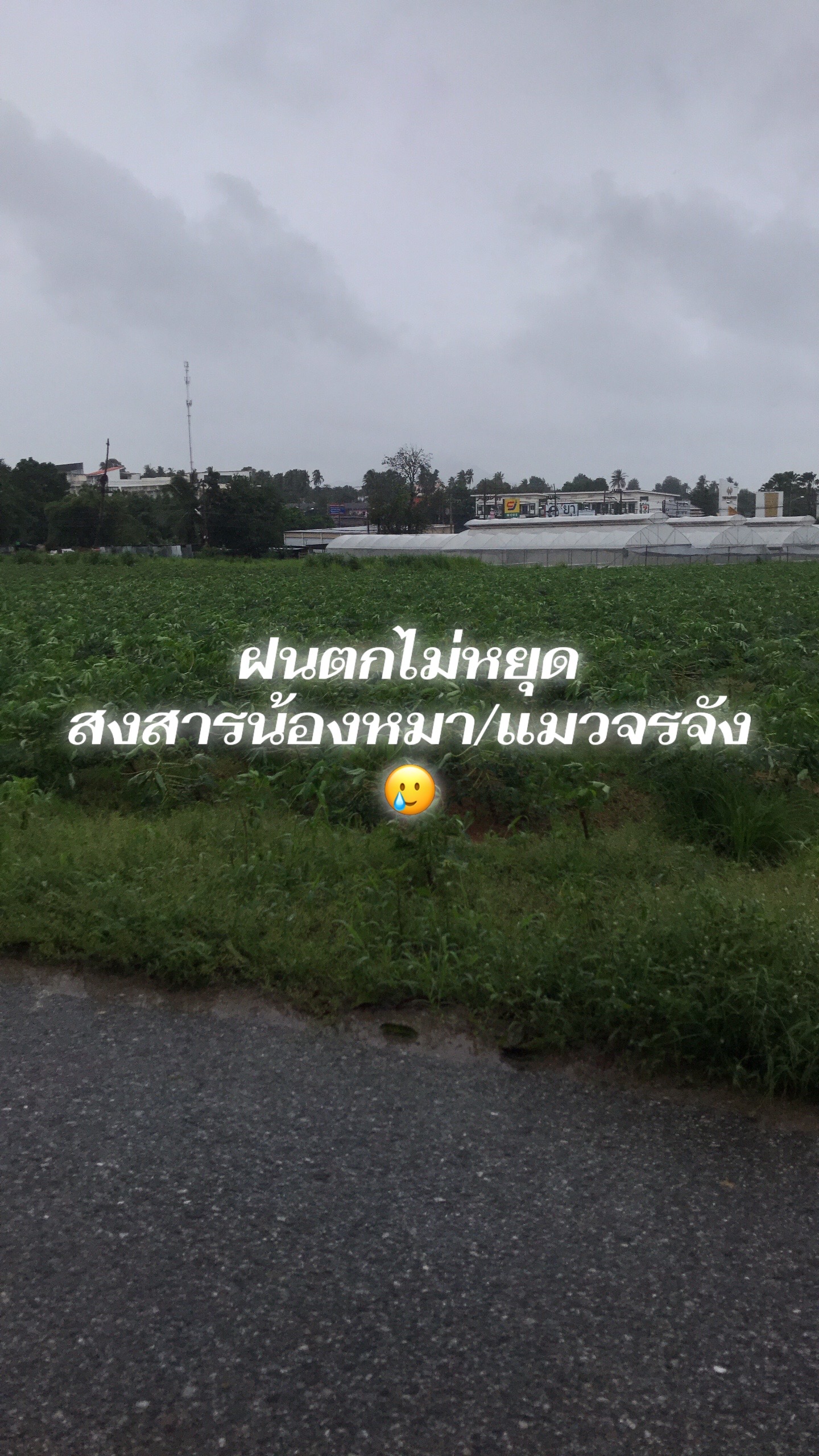 @บ้านพี่ฮั้งตู&น้องเฉาก๊วย💕💕