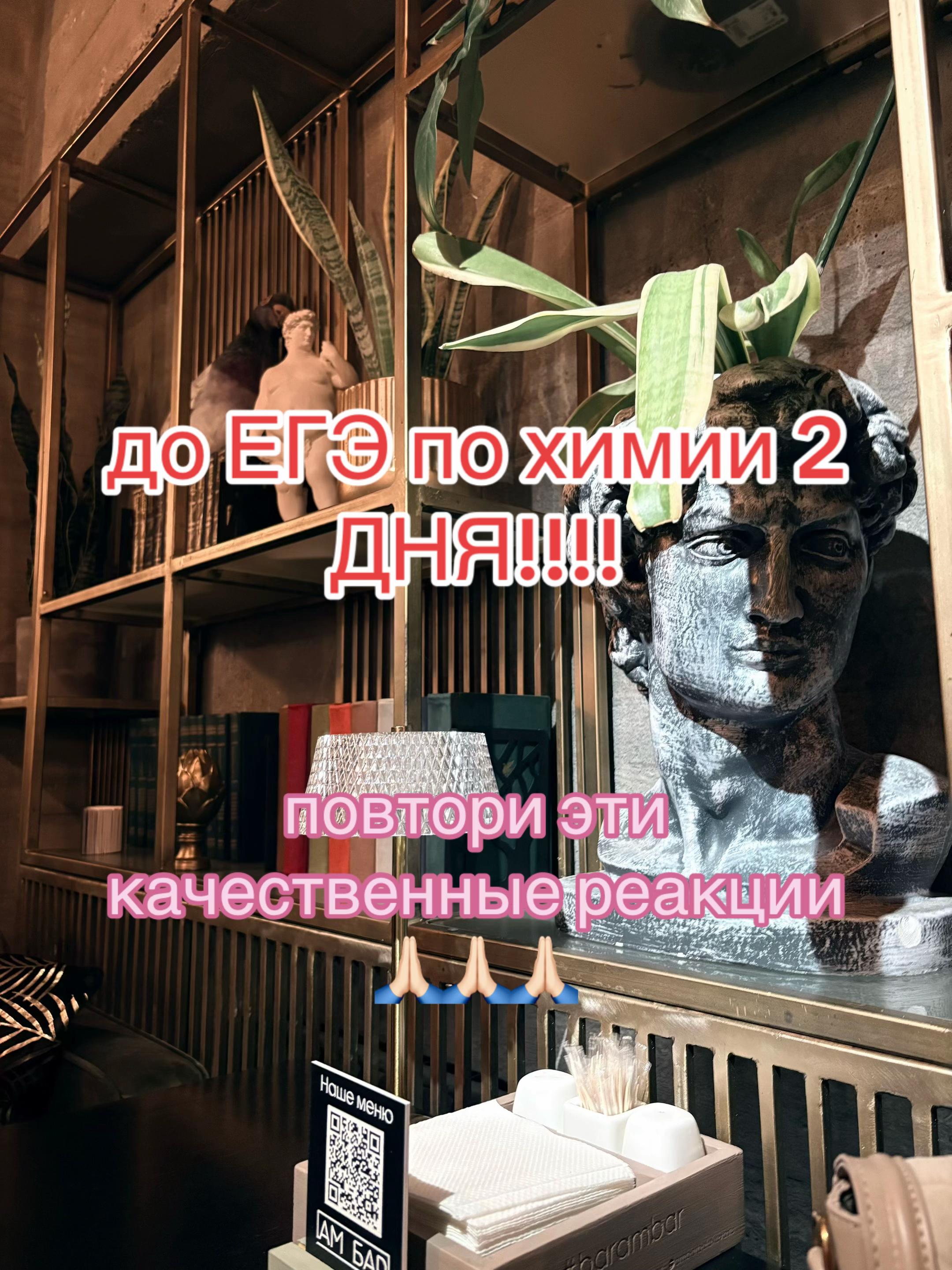 @ривка🐾