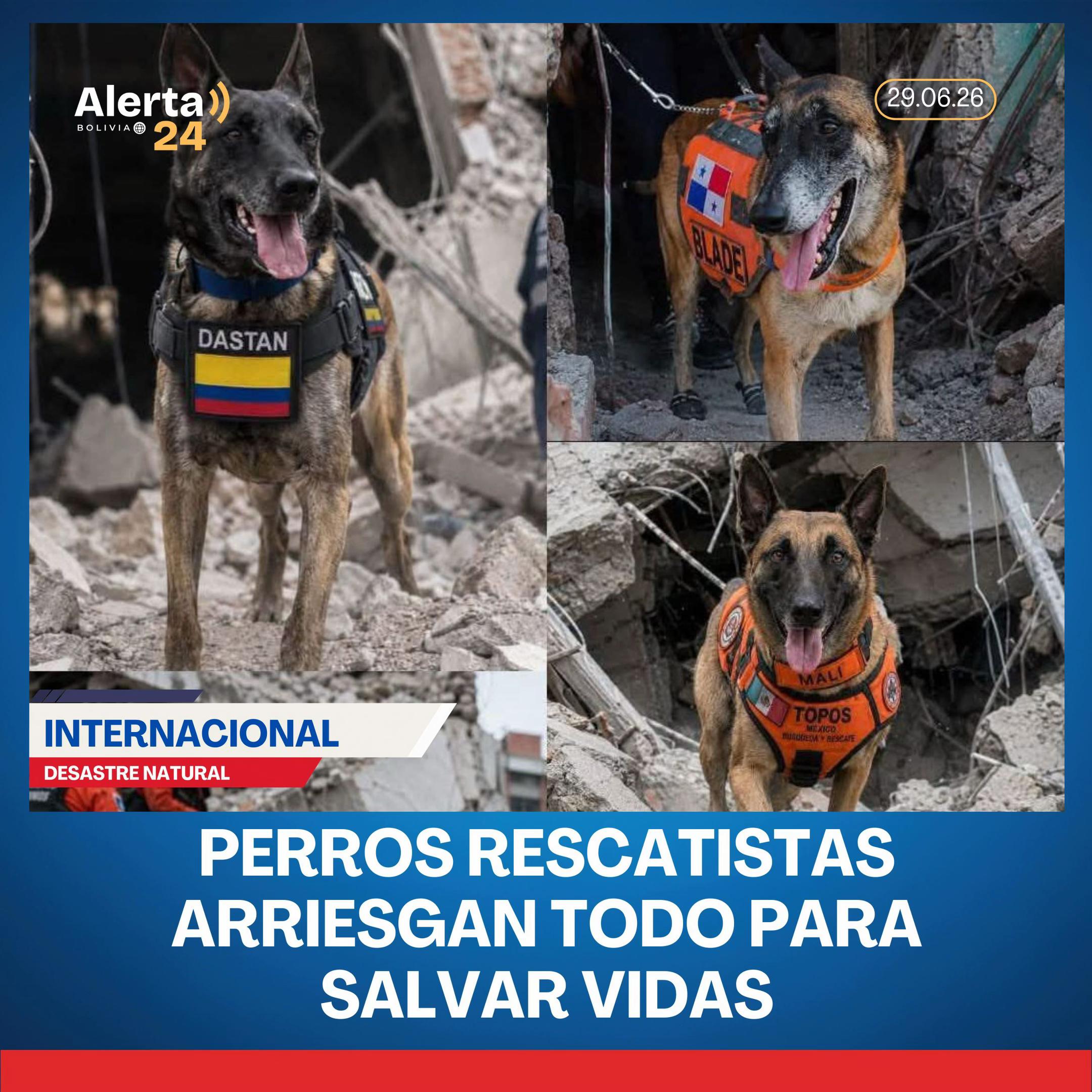 @Alerta24bo