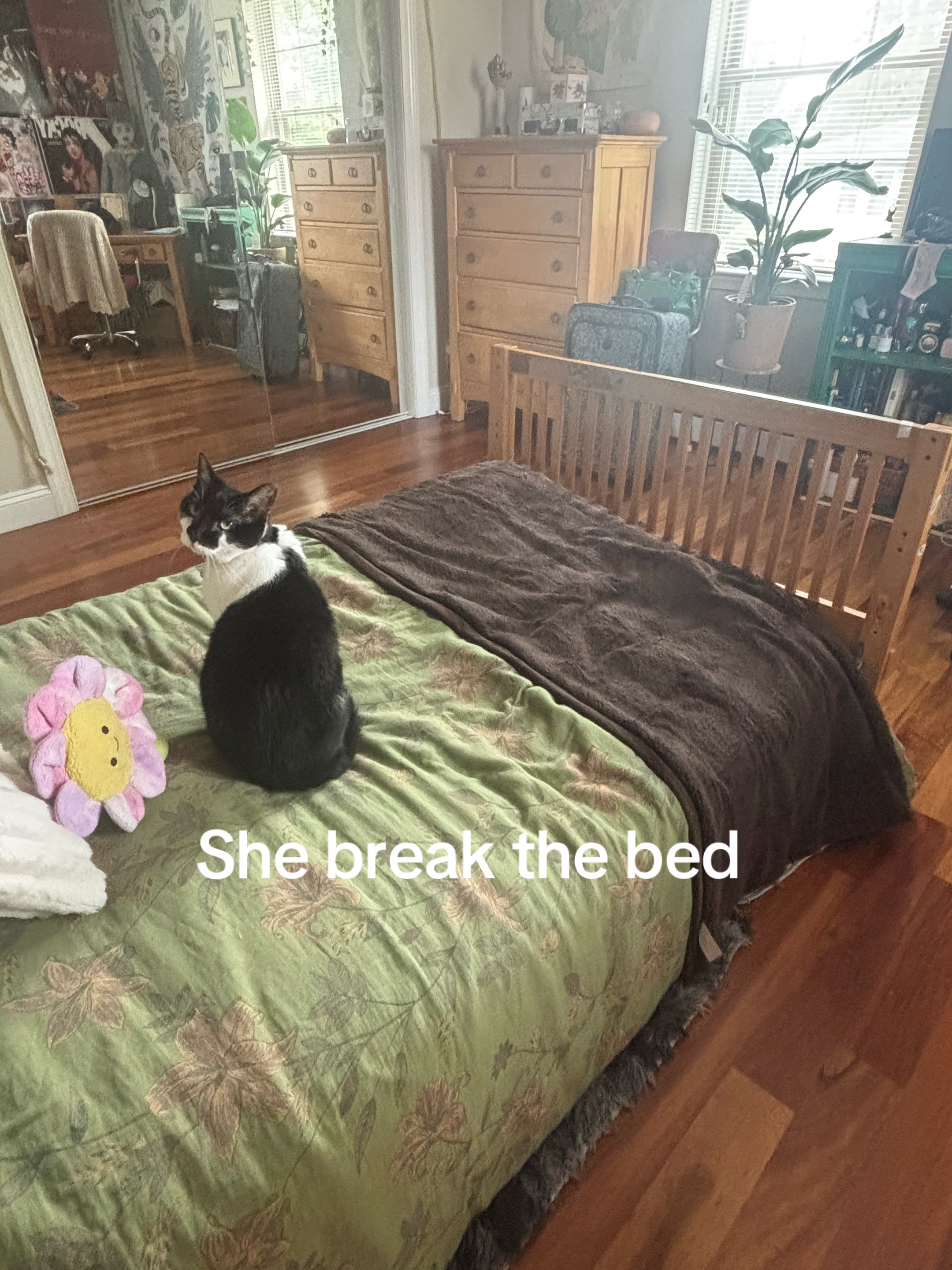@peptobismol🌶️