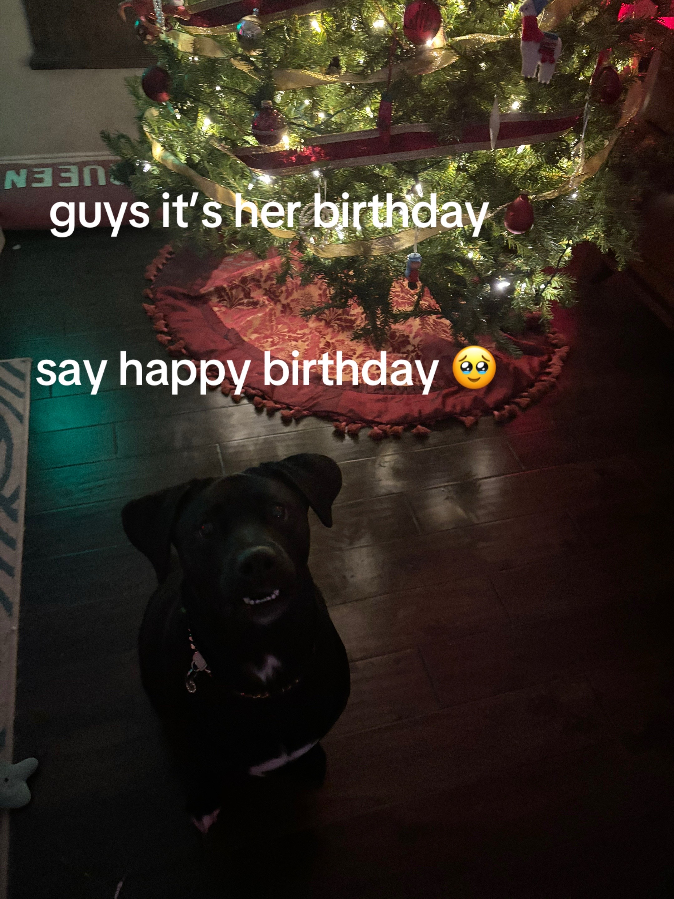 @kotrlaa
