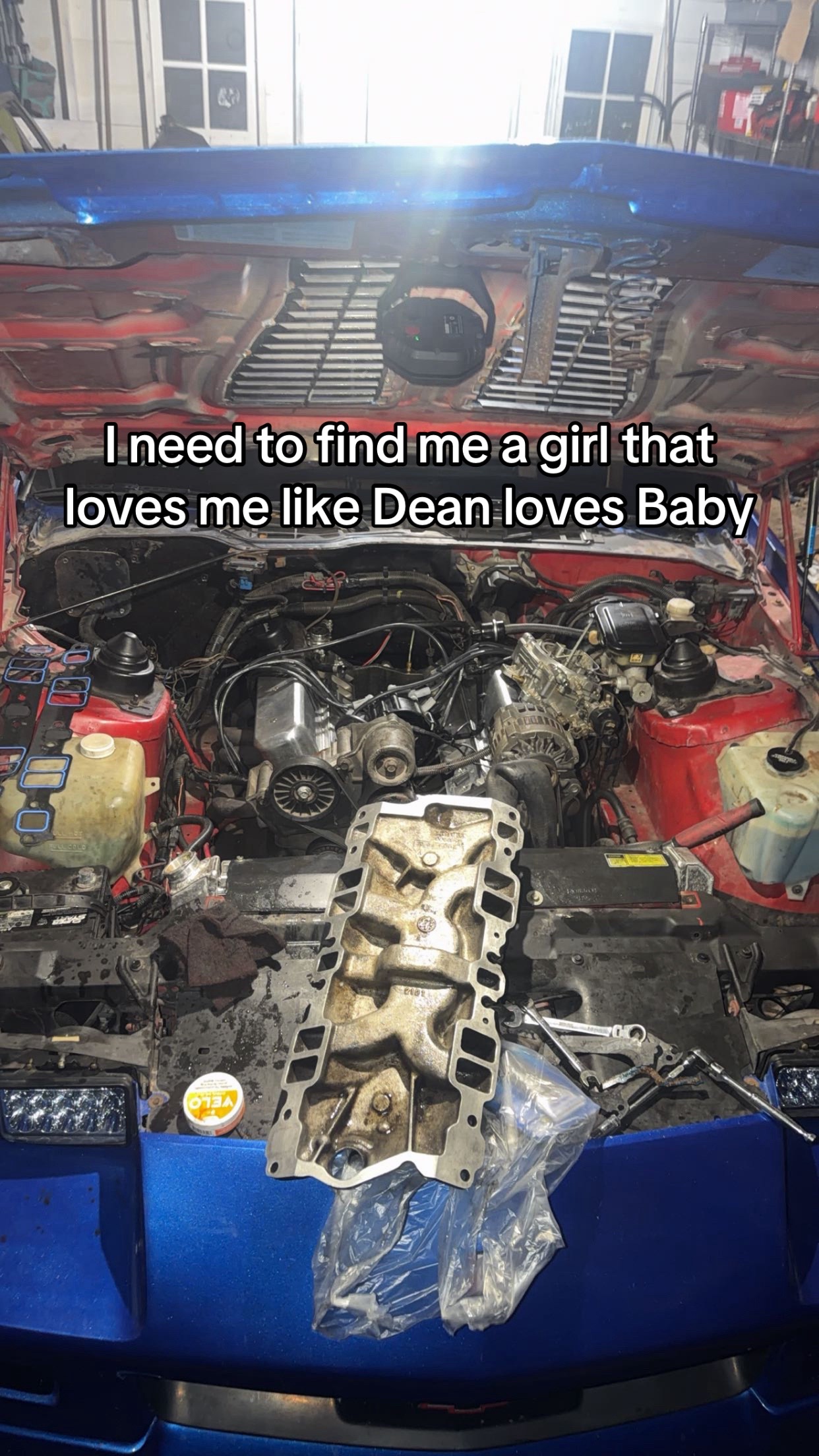 @Kaden Turner