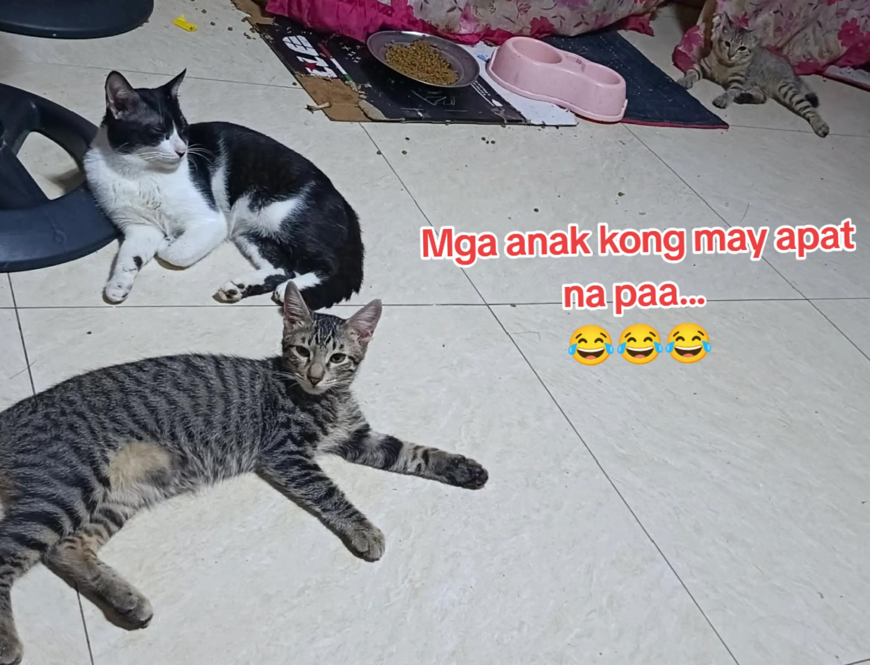 @Lovely Jhen