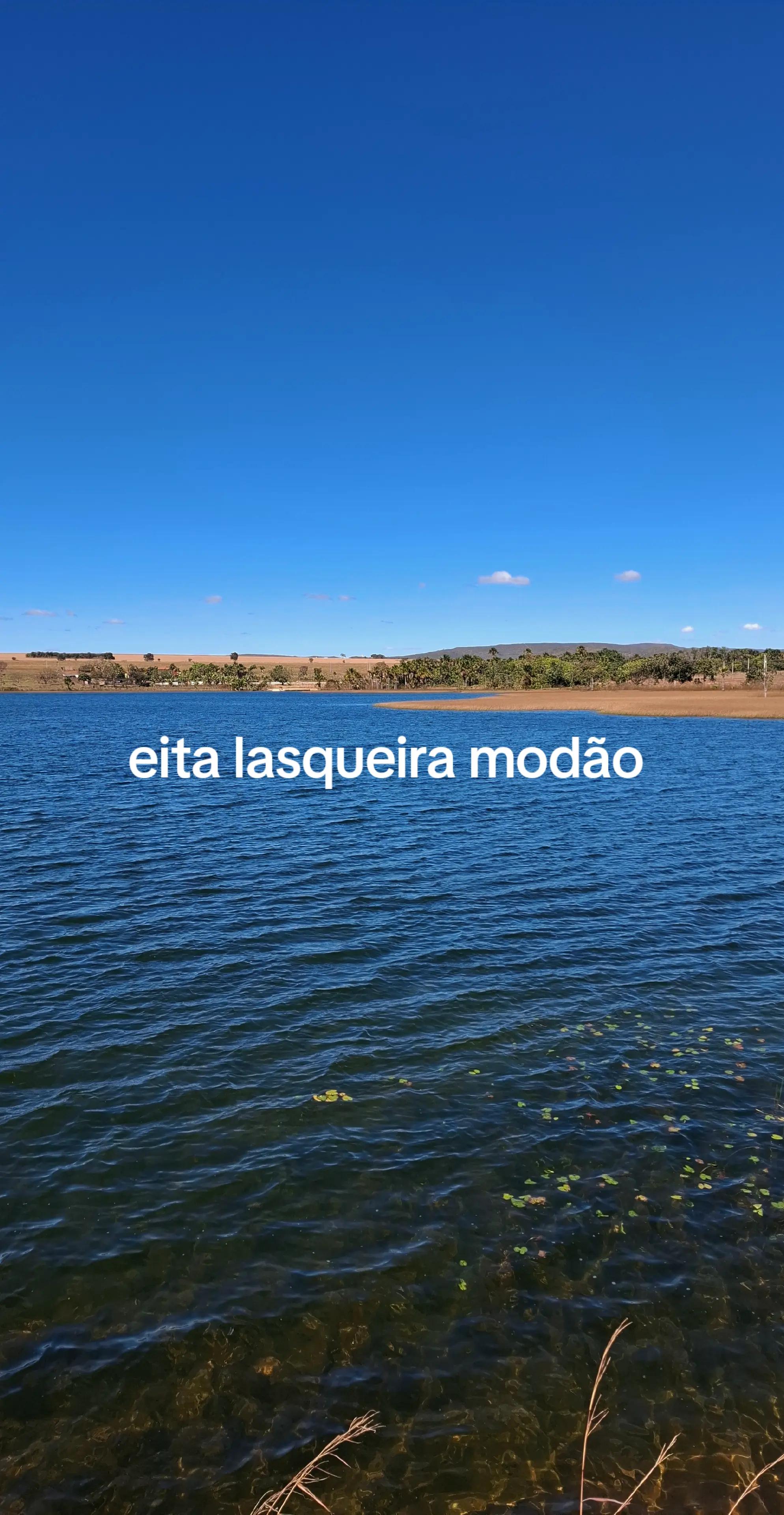 @ronilda