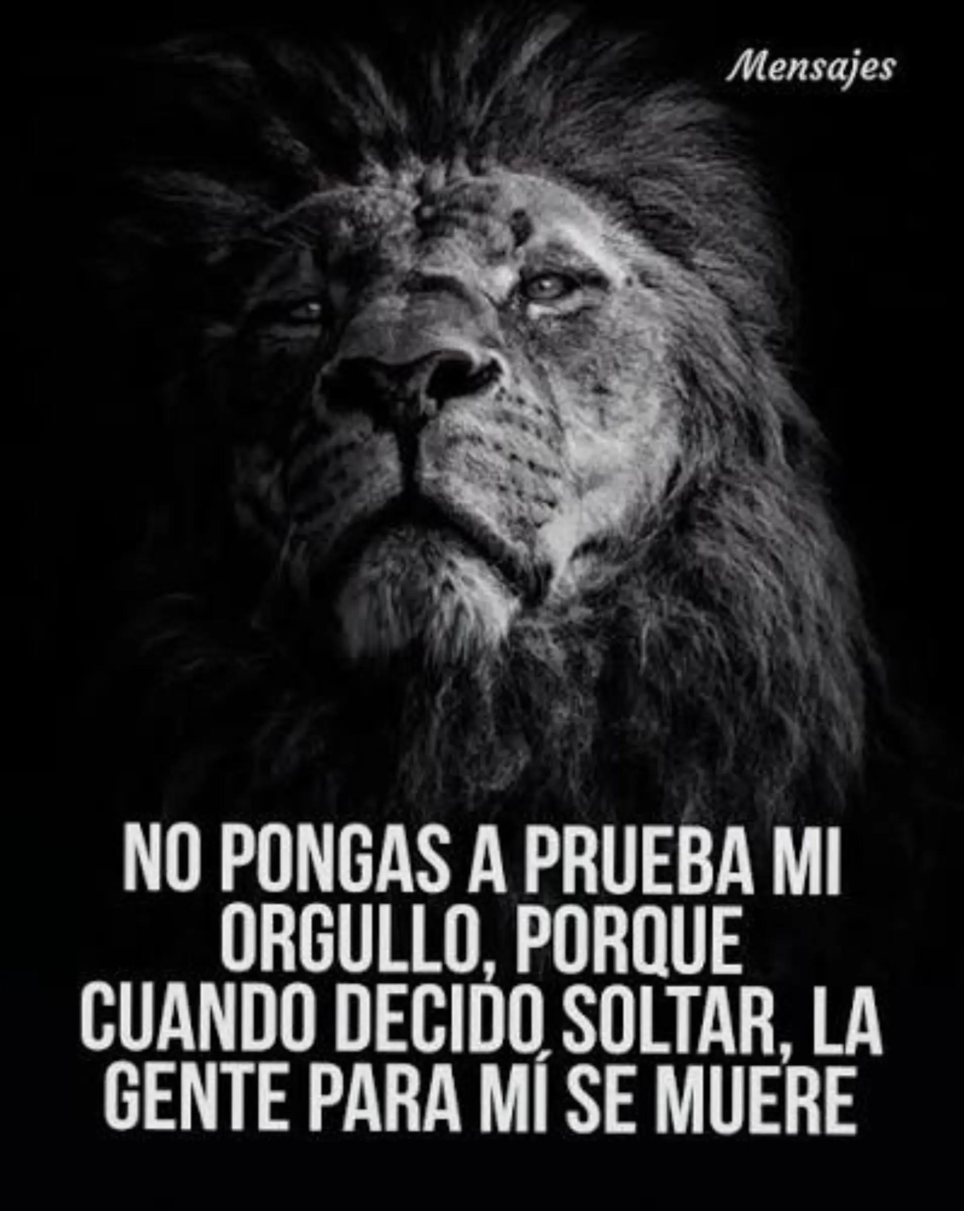 @Jhonatan