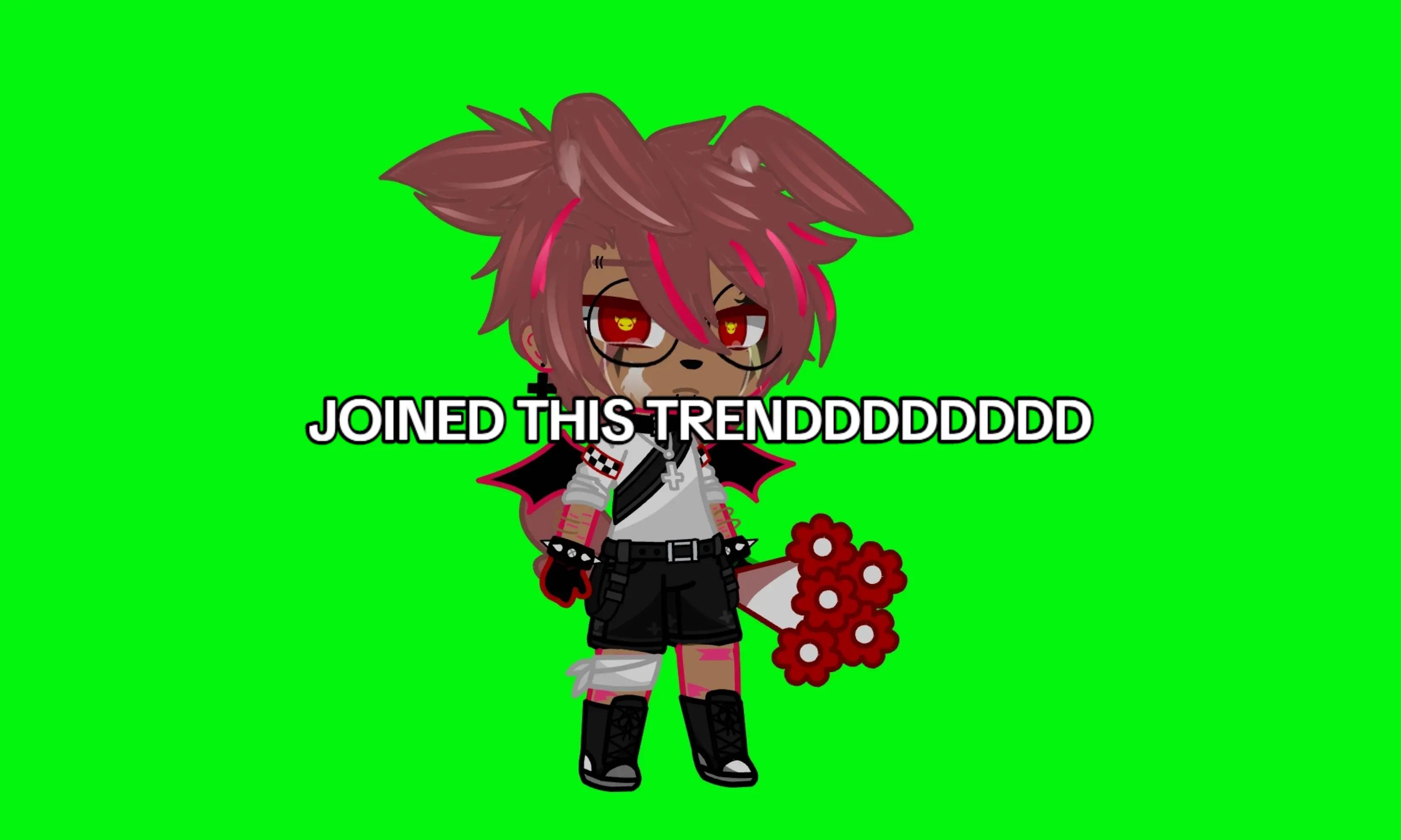@🏳️&zwj;⚧️🦊foxy🦊🏳️&zwj;⚧️