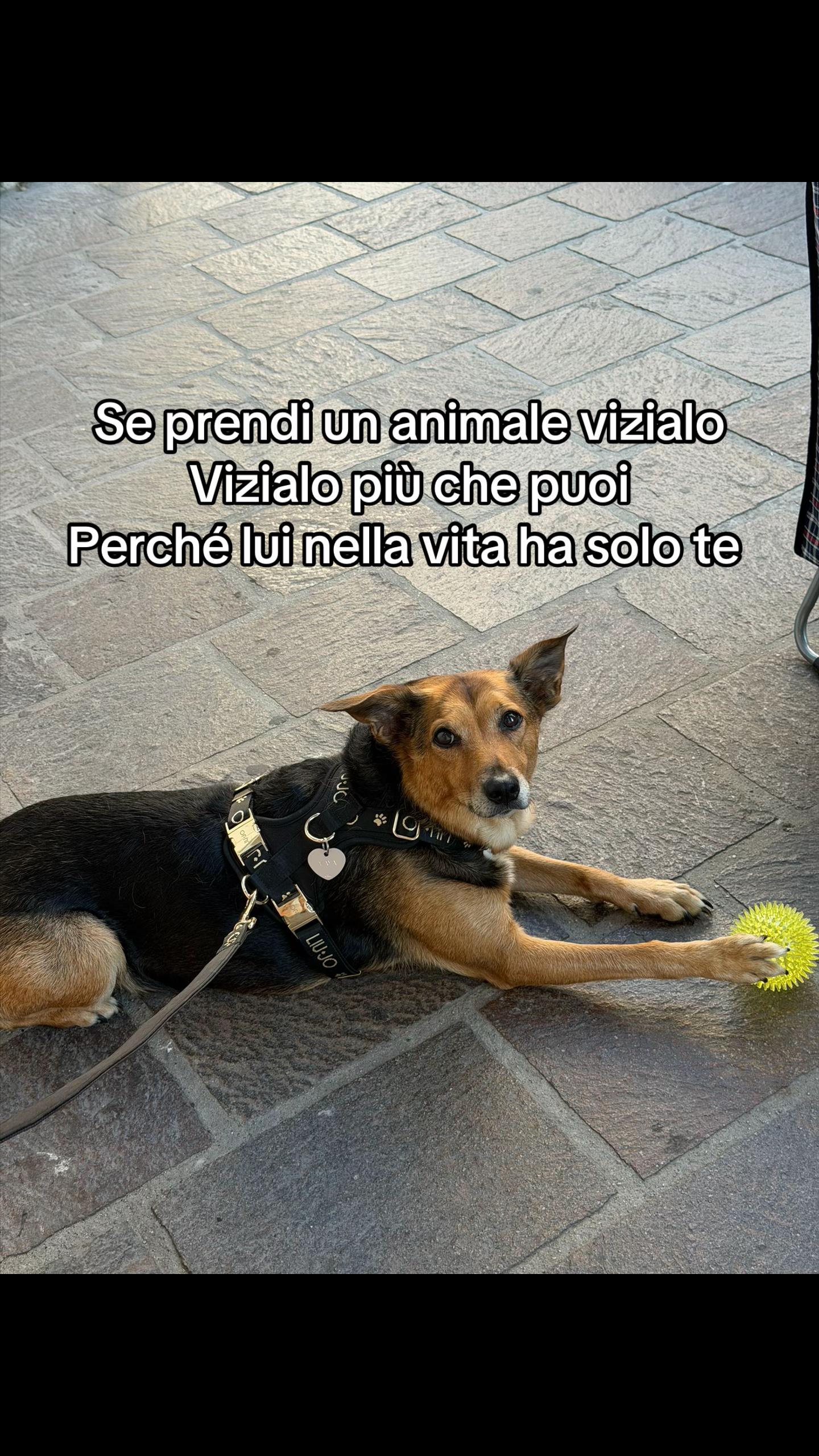 @Fra_le_nuvole_