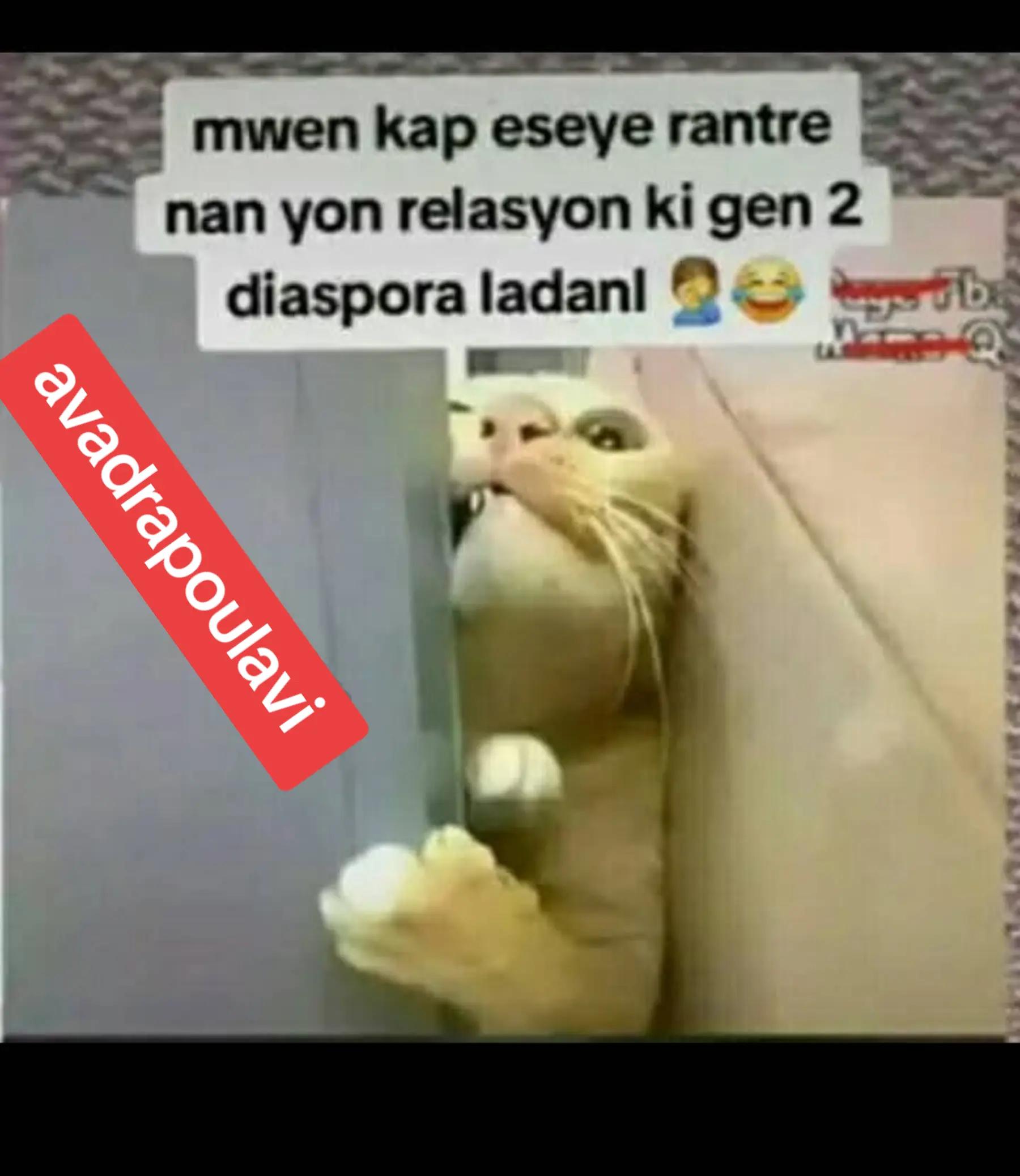 @🥷Avadranouavadra