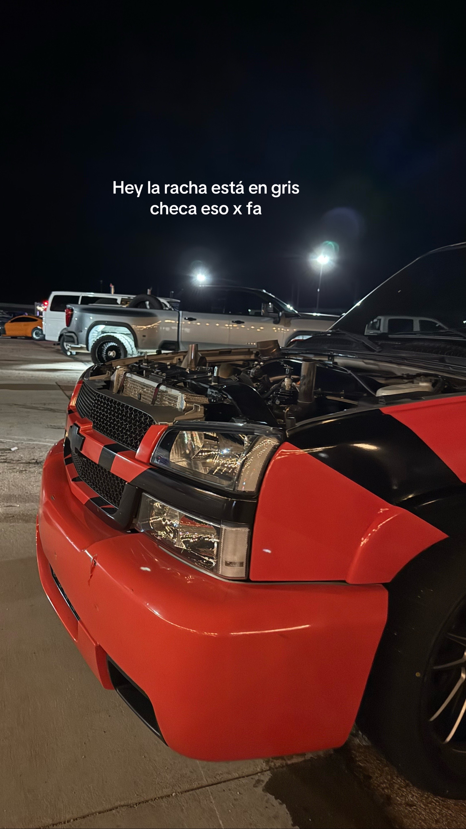 @giavibees