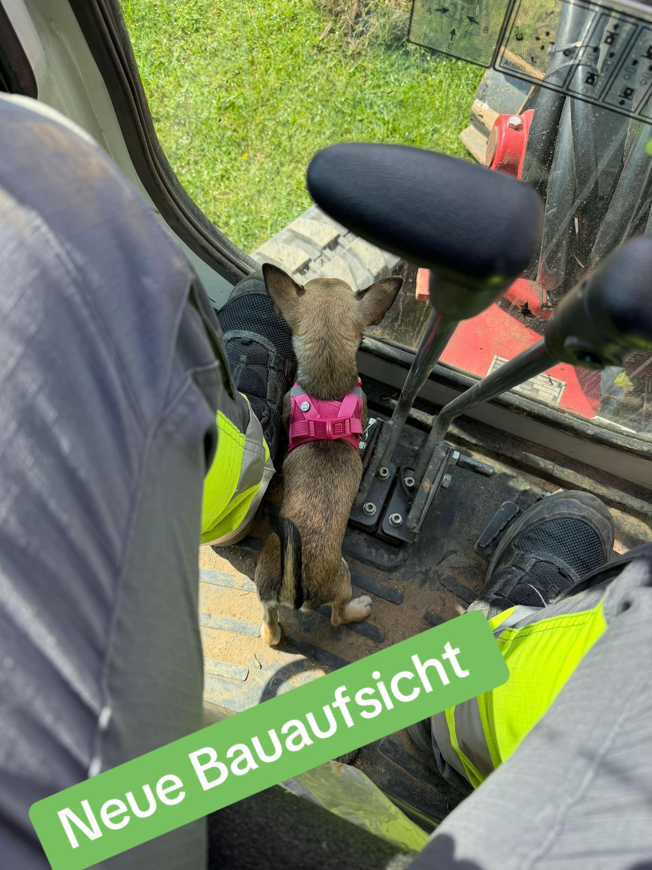 @HS_Gartenbau