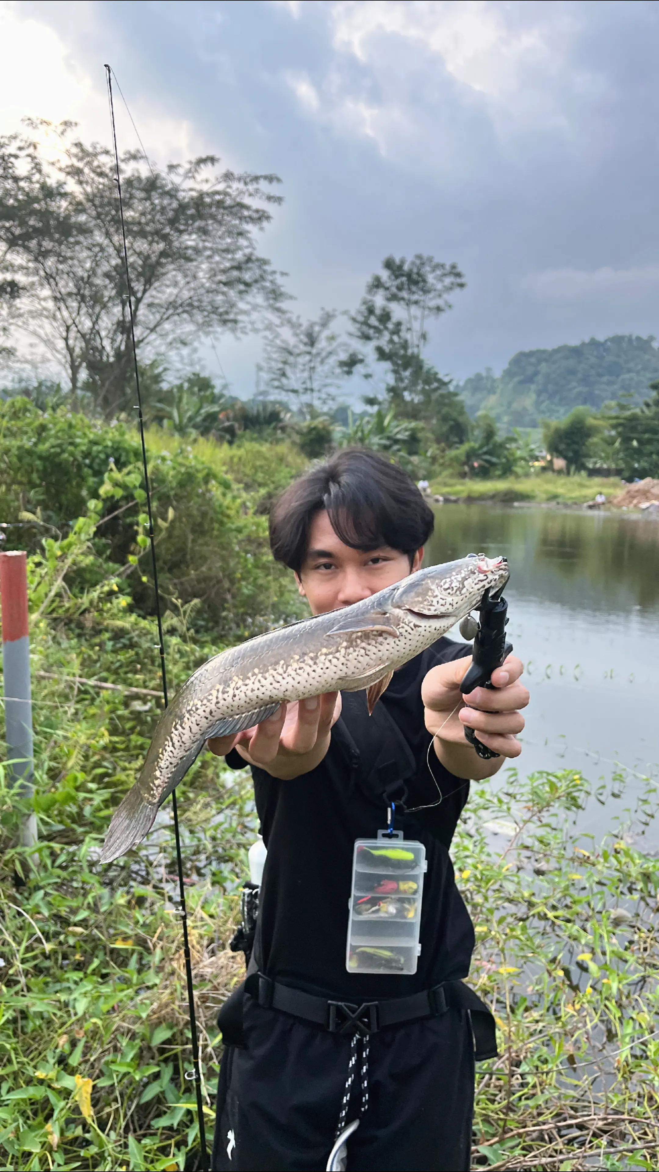 @gustavxfishing