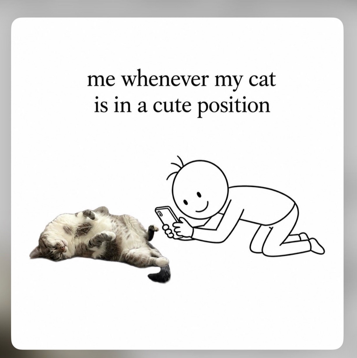 @Purrrrfect Moments