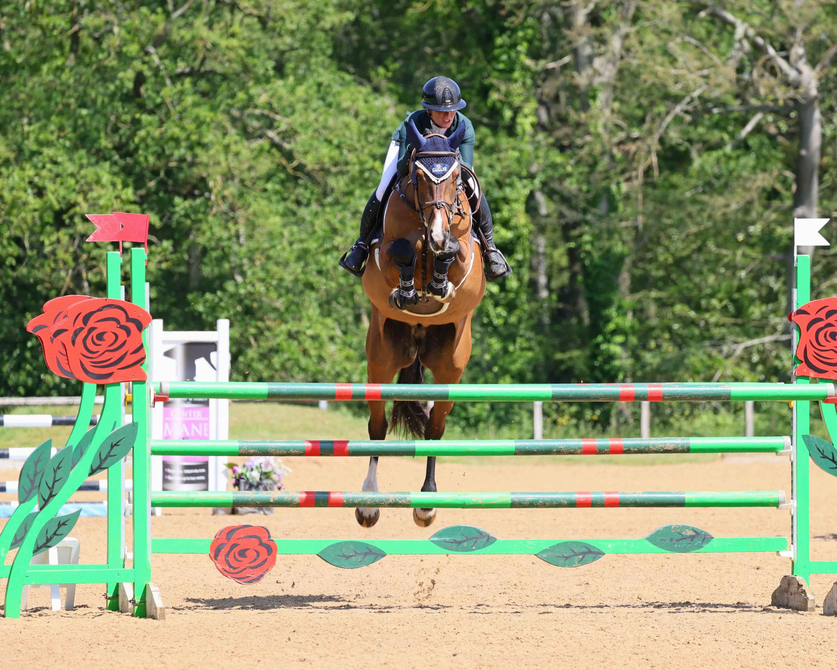 @Lucy Struthers Horses