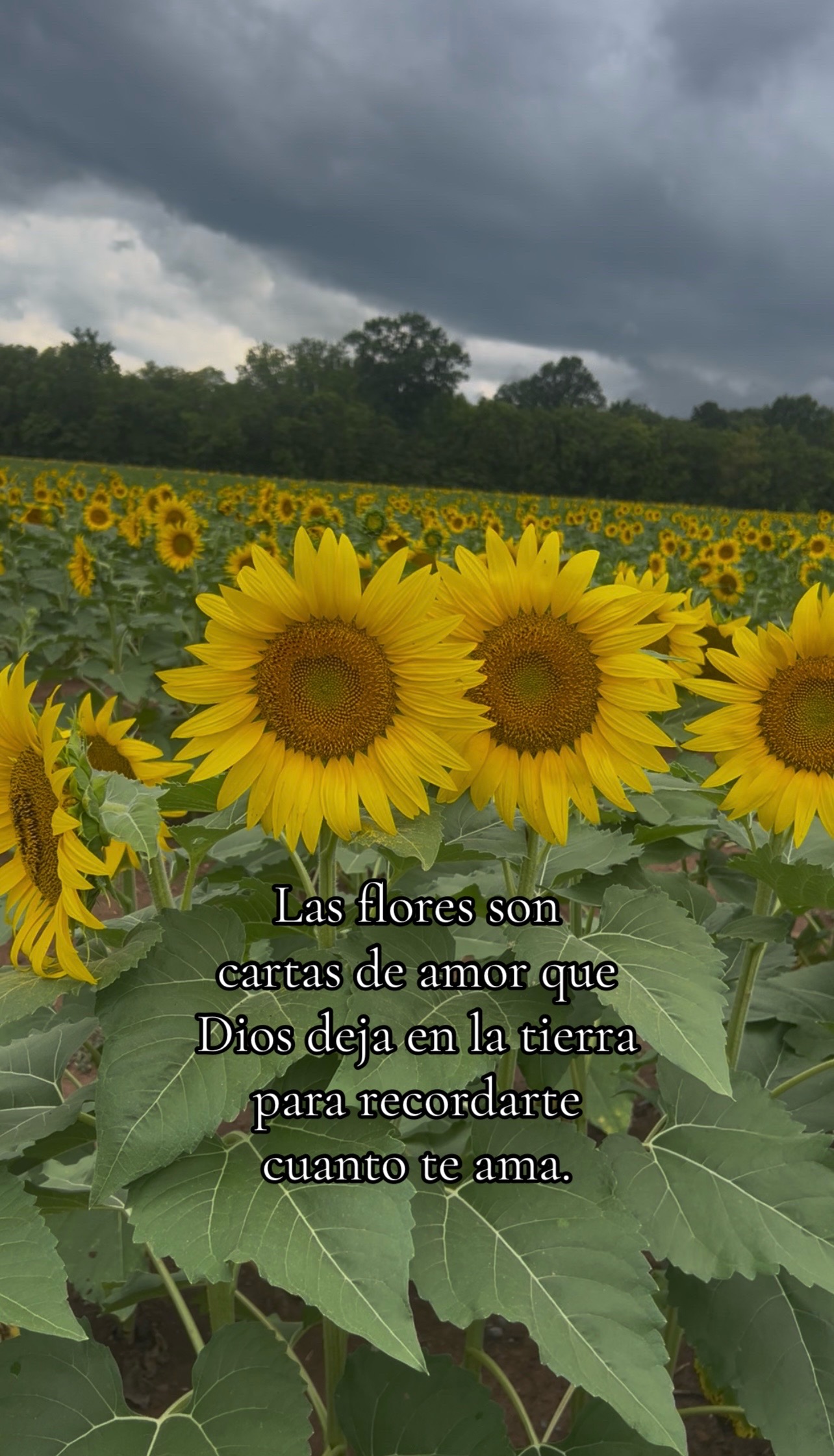 @🌹💕Jathzely🌹💕