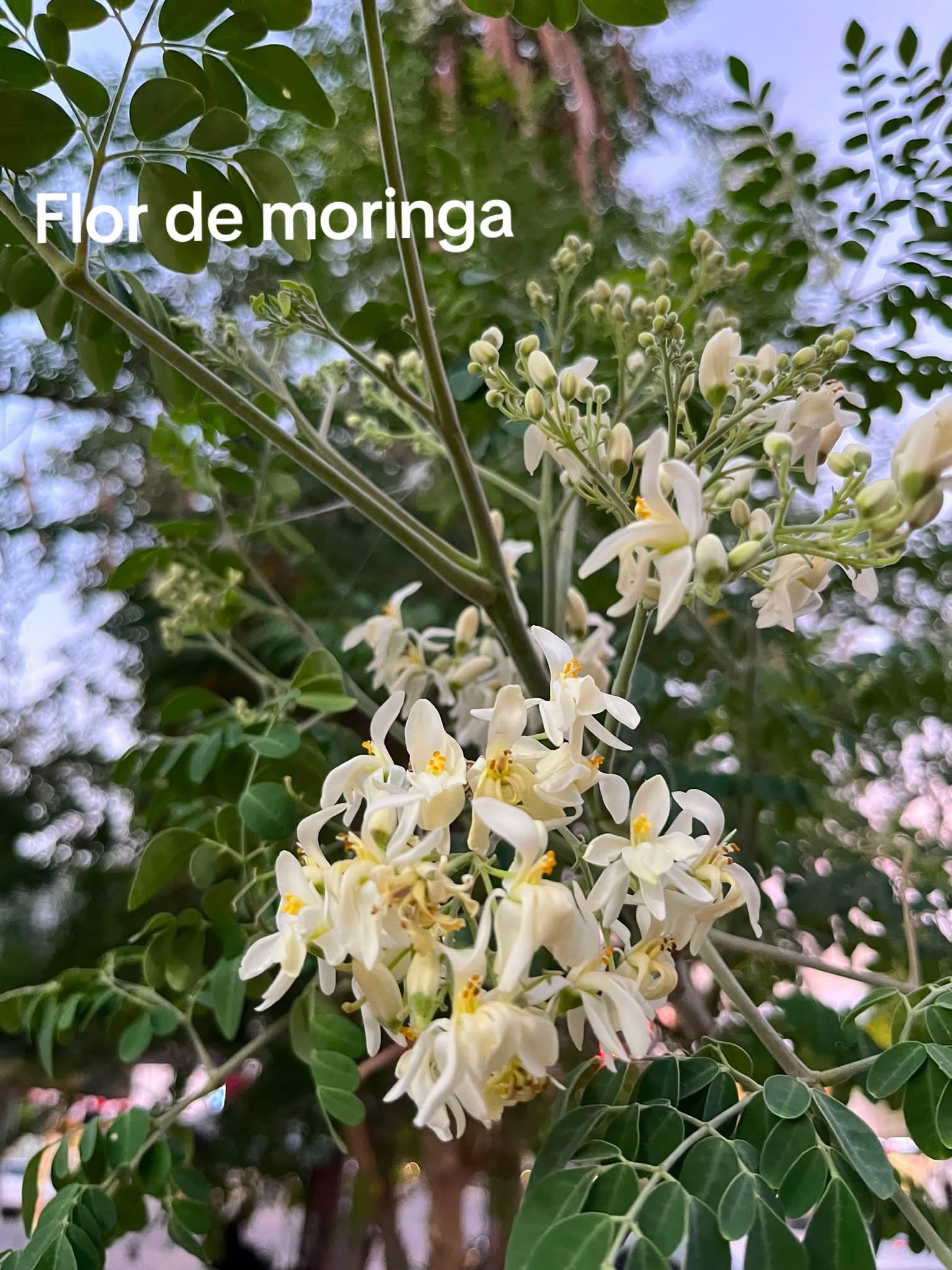 @Puras fotitos